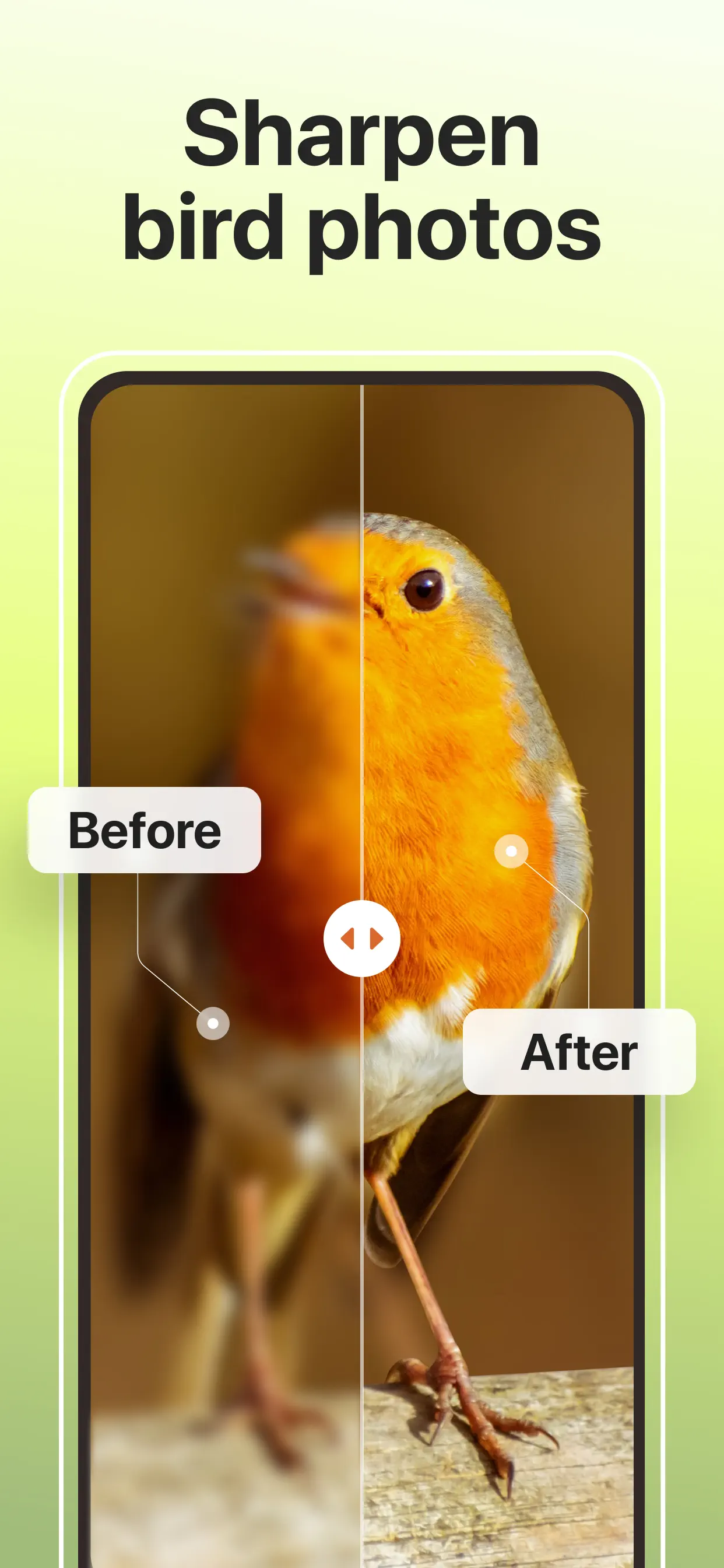 Picture Bird: Bird identifier App Store screenshot 3