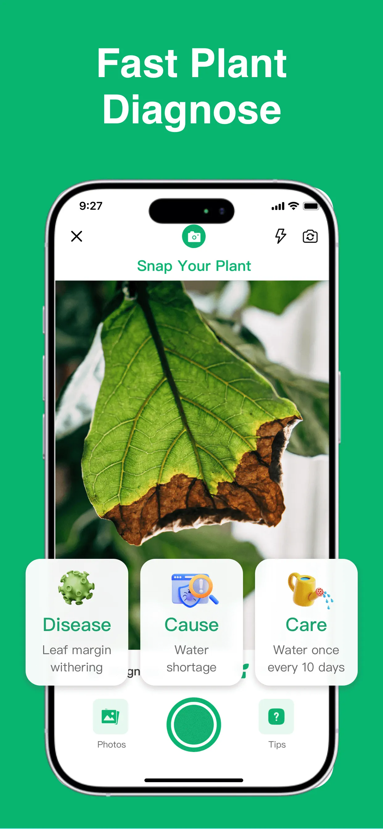 Plant Identifier: ChatPlant AI App Store screenshot 3