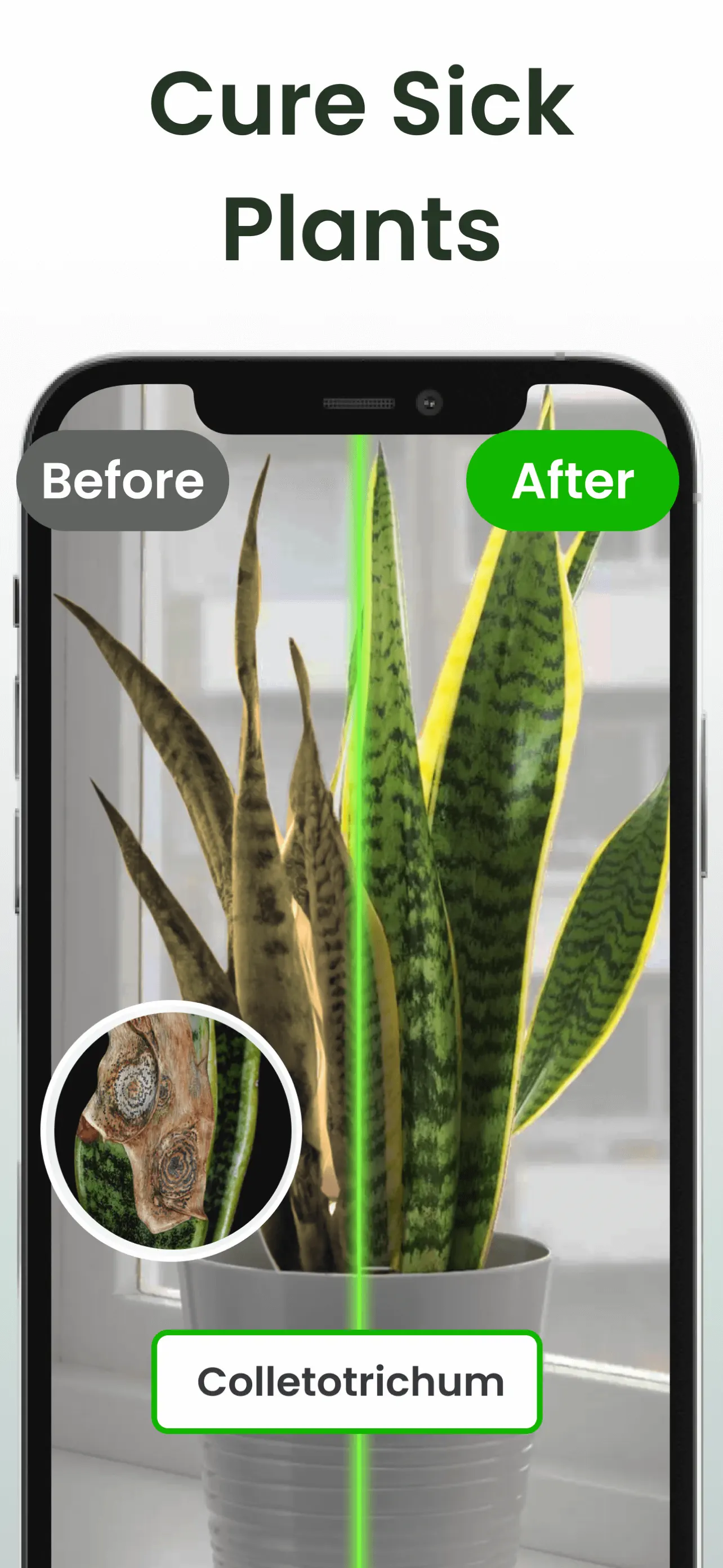 Plant Identifier: Plantiary App Store screenshot 3