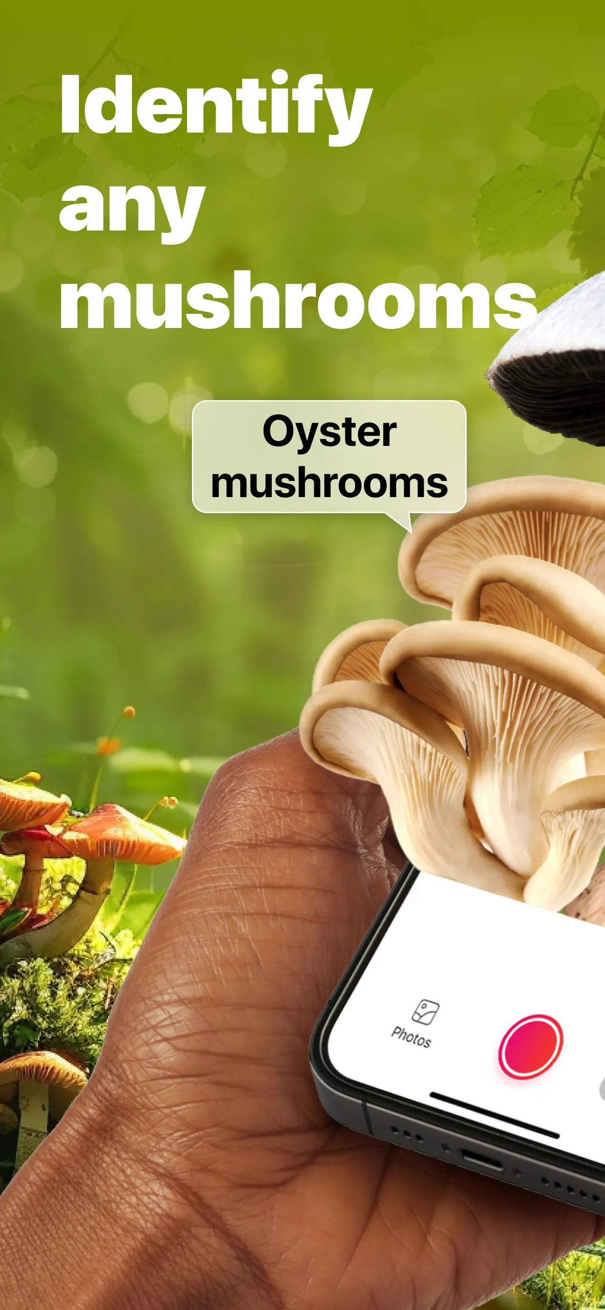 Picture Mushroom: Identifier App Store screenshot 1