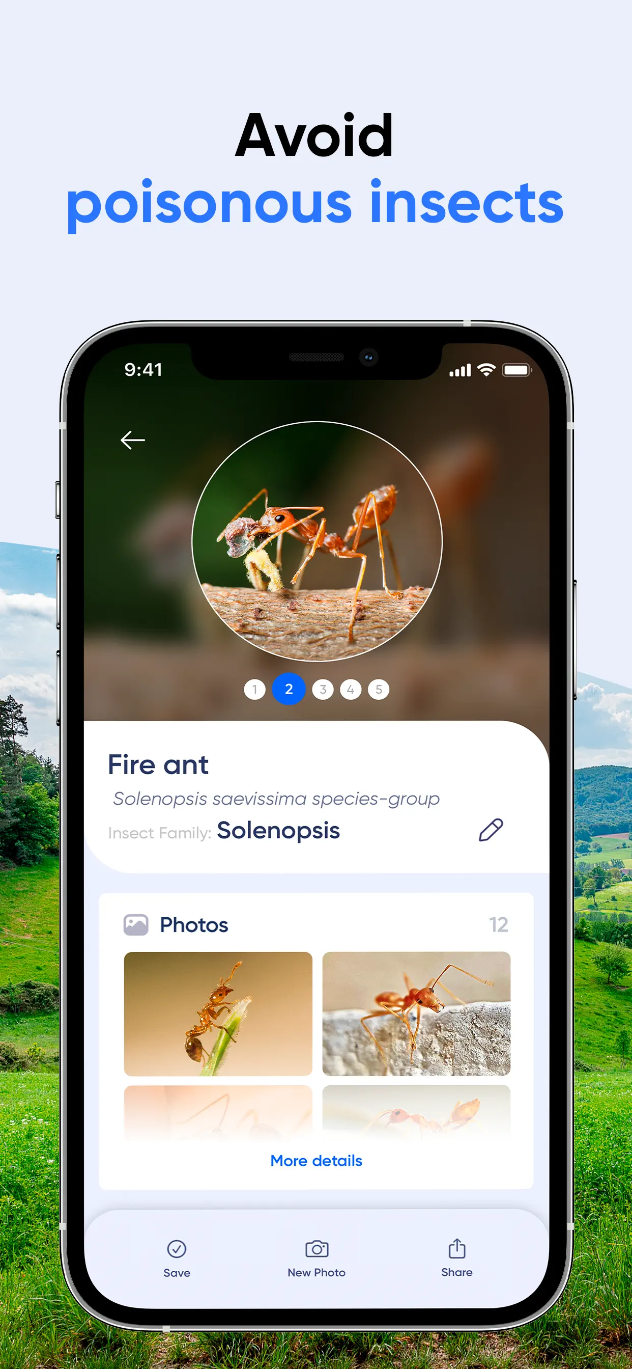 Bug Identifier: AI Insect id App Store screenshot 4