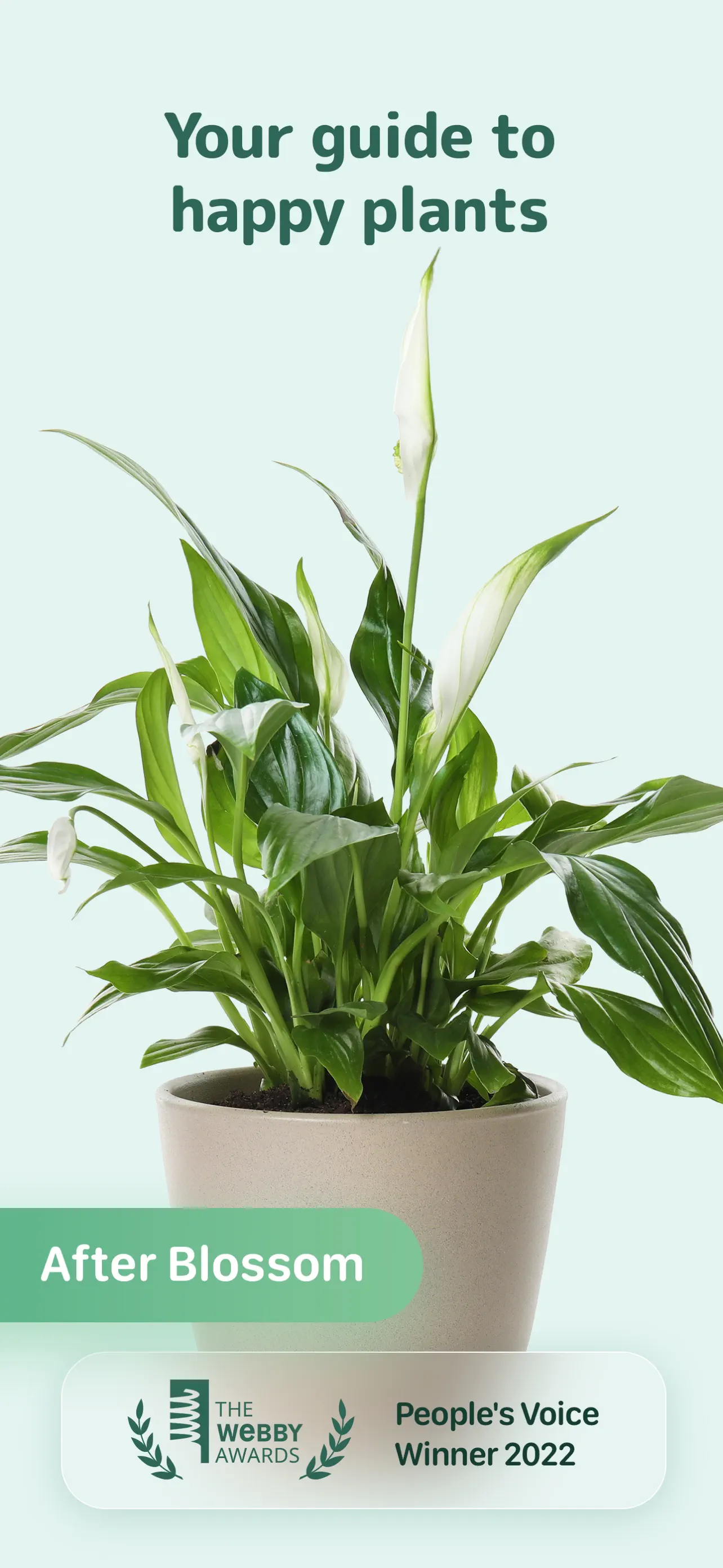 Blossom - Plant Care Guide App Store screenshot 2