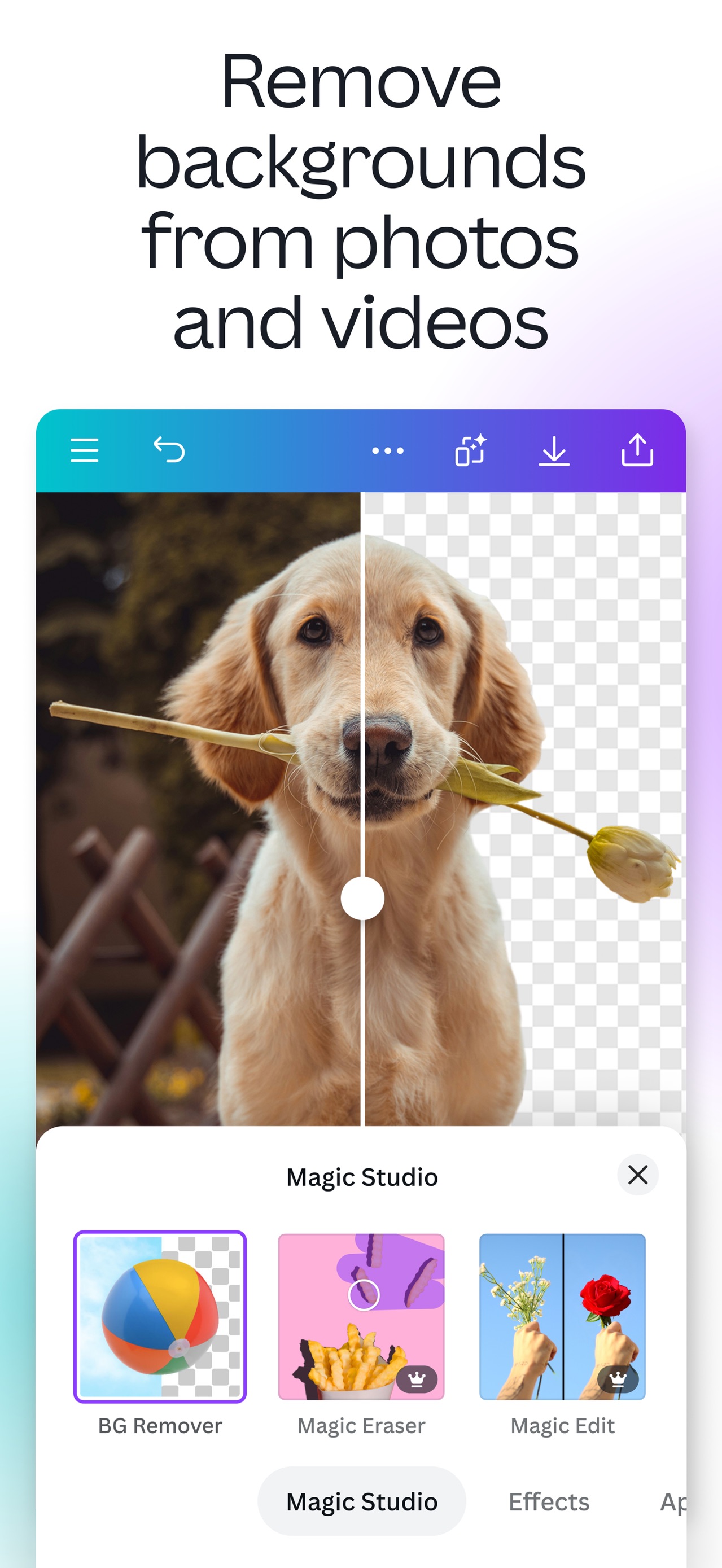 Canva: AI Video & Photo Editor App Store screenshot 1