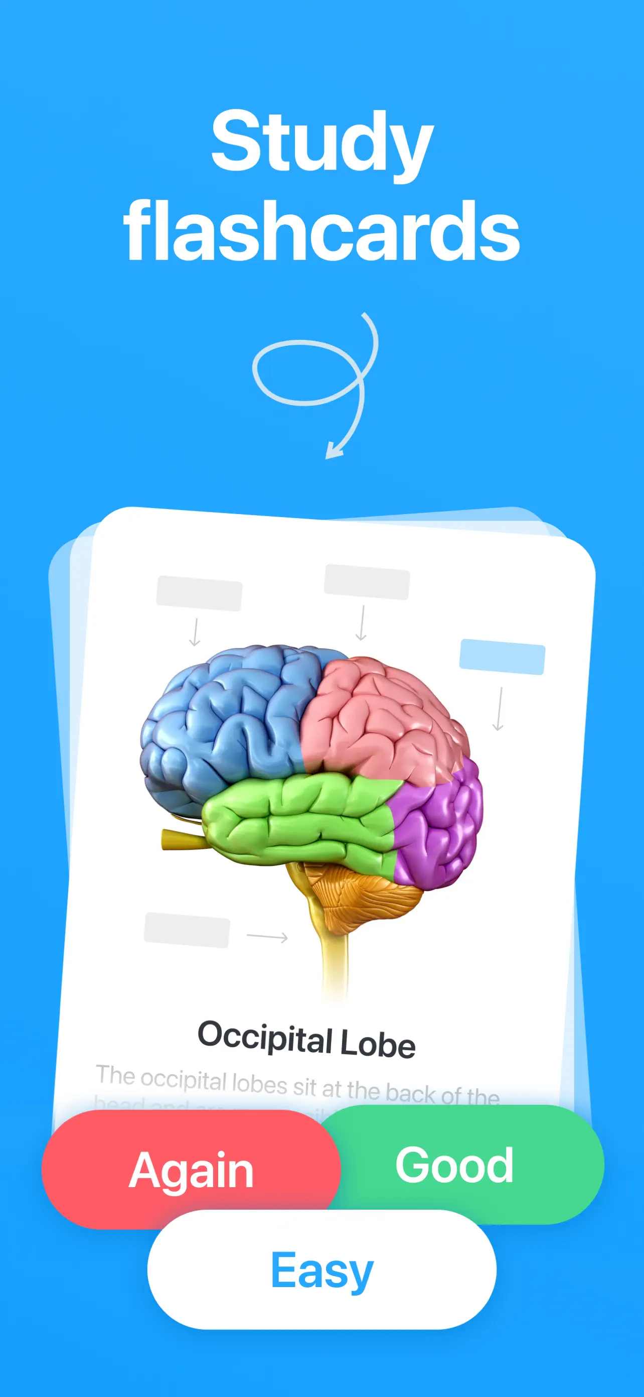 Cogni: Flashcards Learning App Store screenshot 1