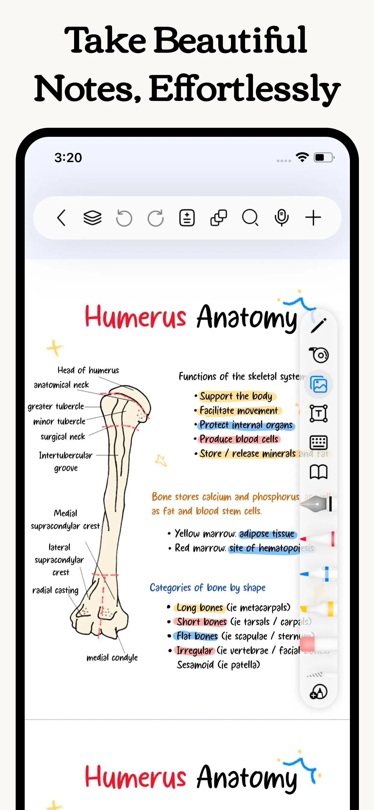 Freenotes®: AI Notes Taking App Store screenshot 1