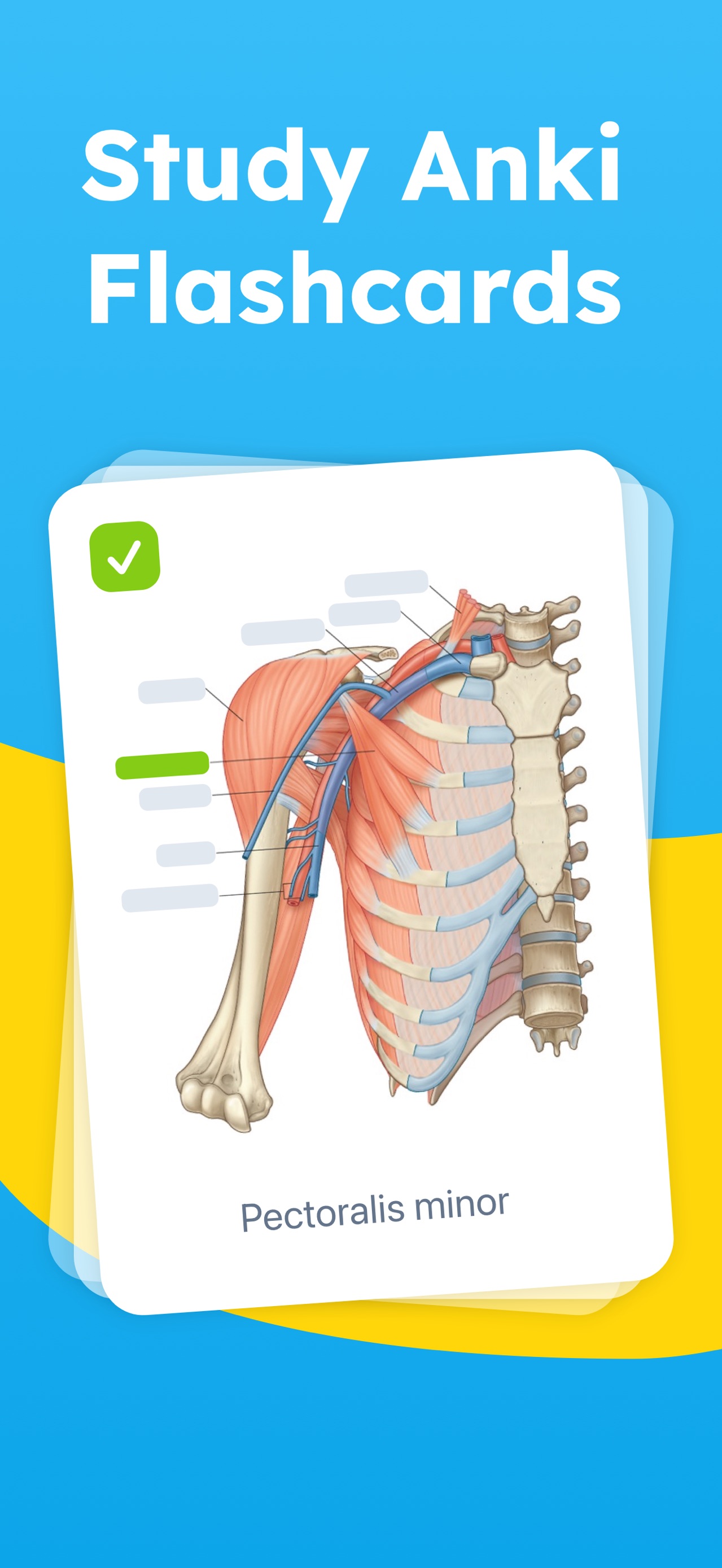 Mopiq: AI Flashcards Learning App Store screenshot 3
