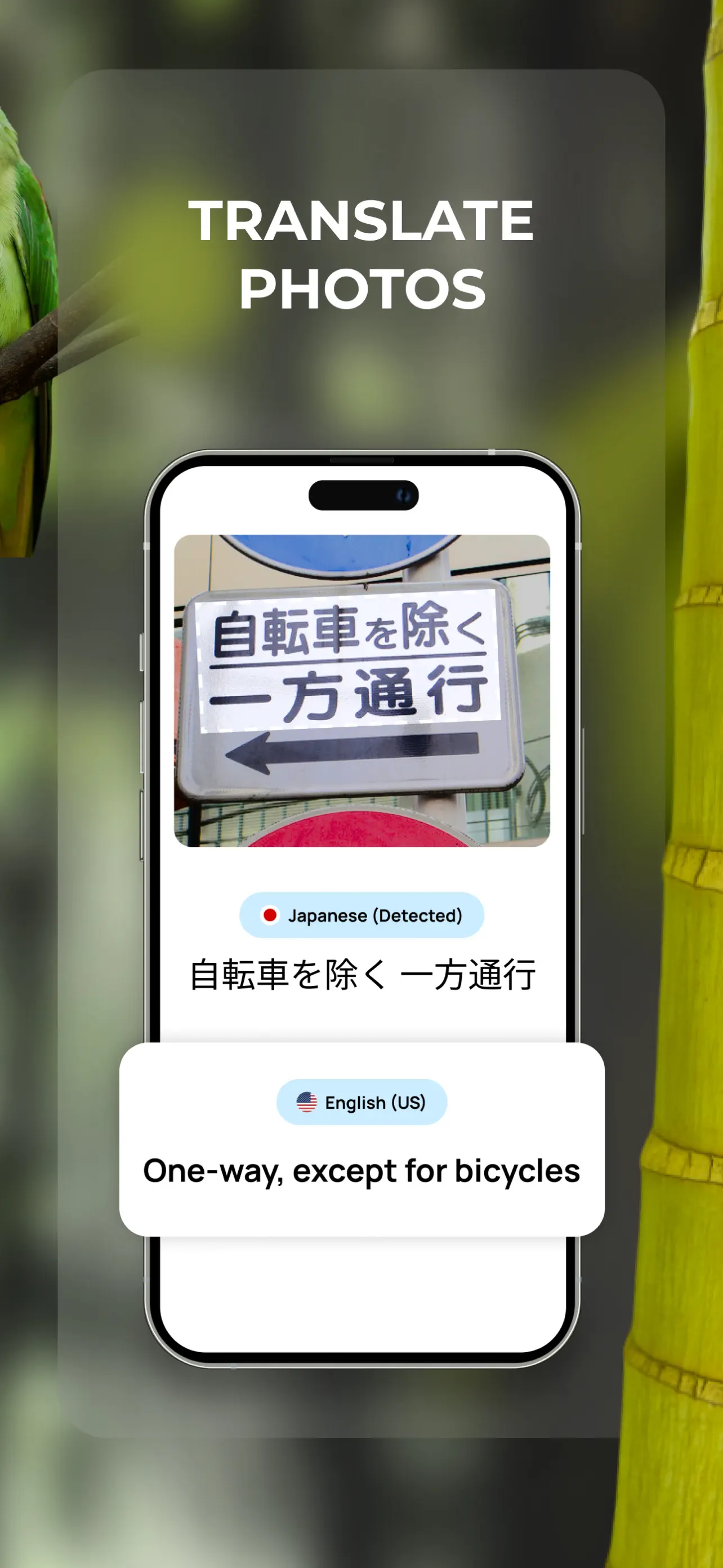 Lens: Translate & Image Search App Store screenshot 3