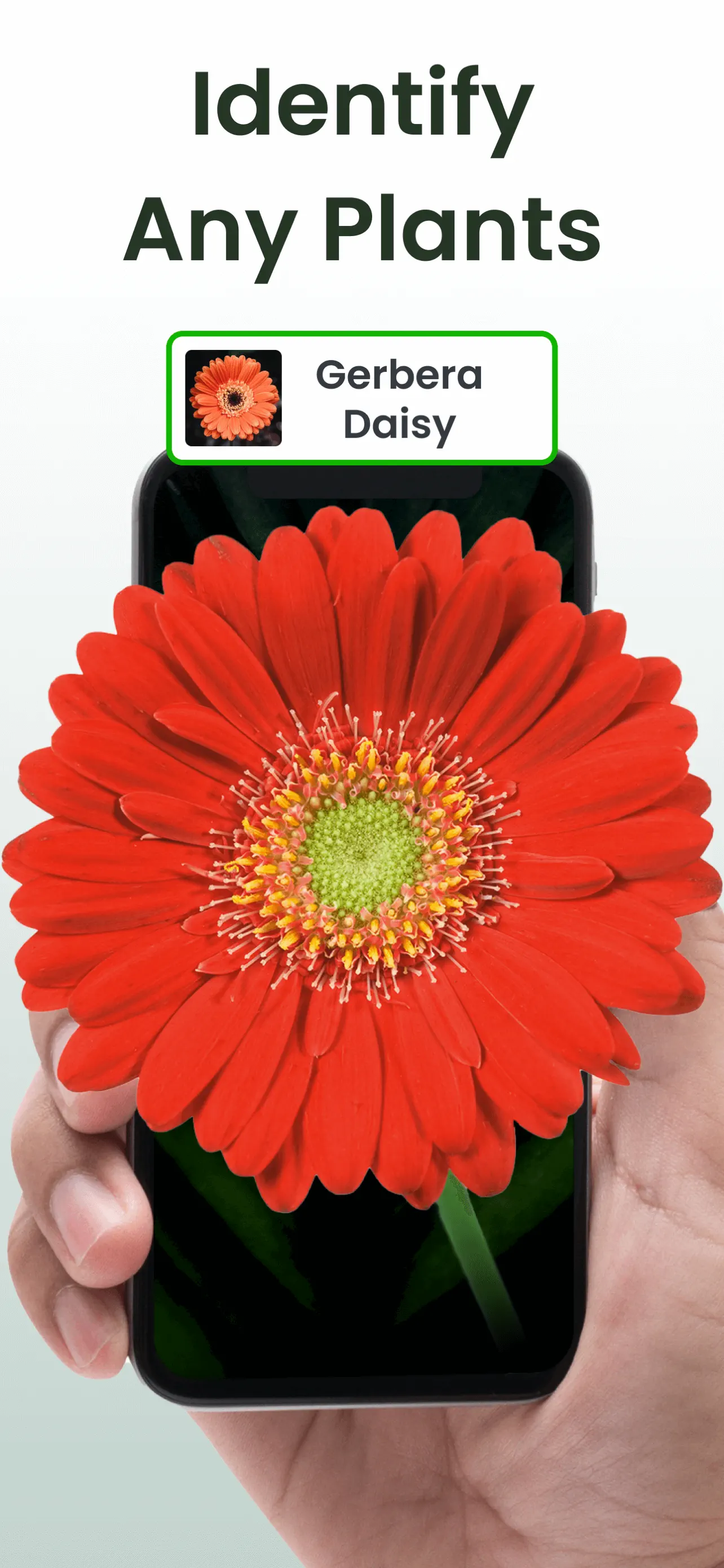 Plant Identifier: Plantiary App Store screenshot 1