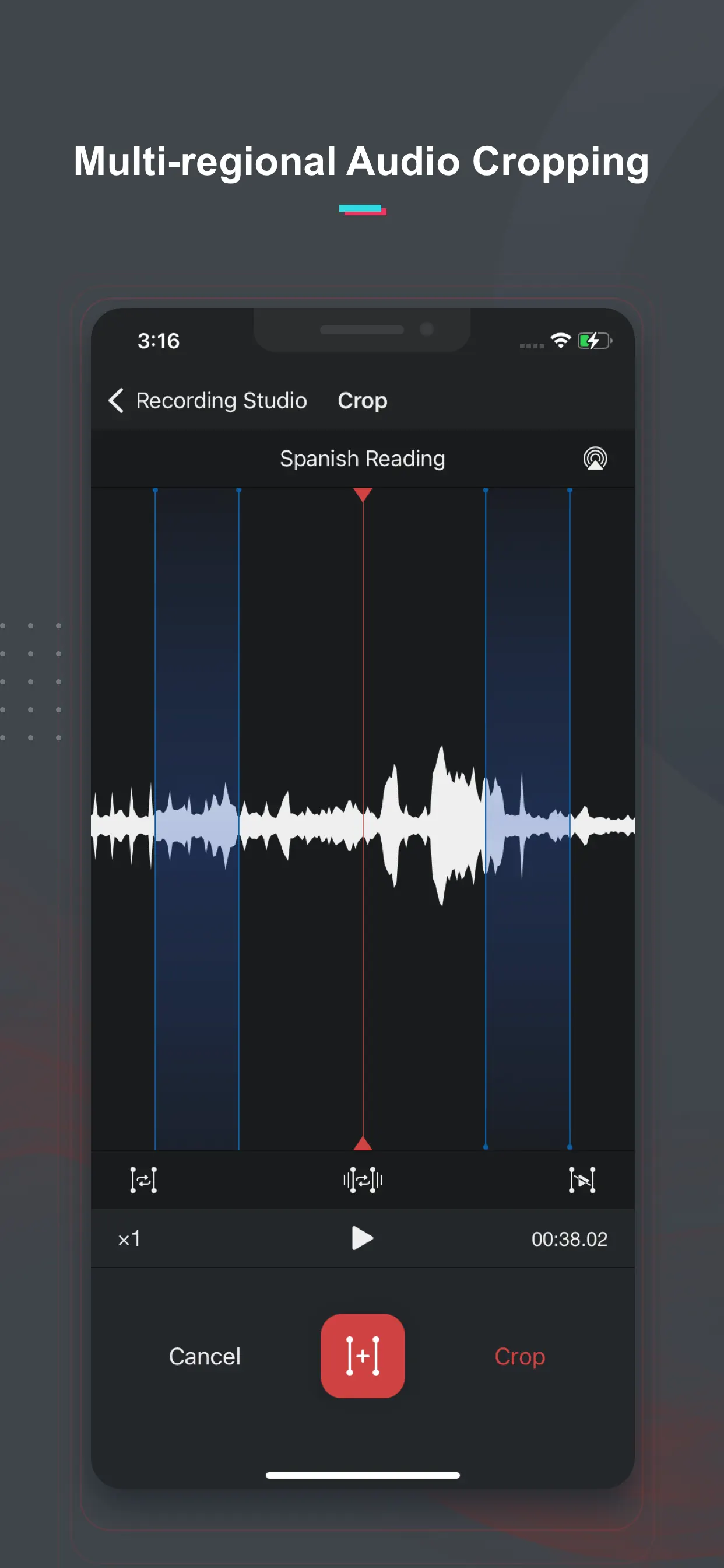Voice Recorder & Notes Pro App Store screenshot 3