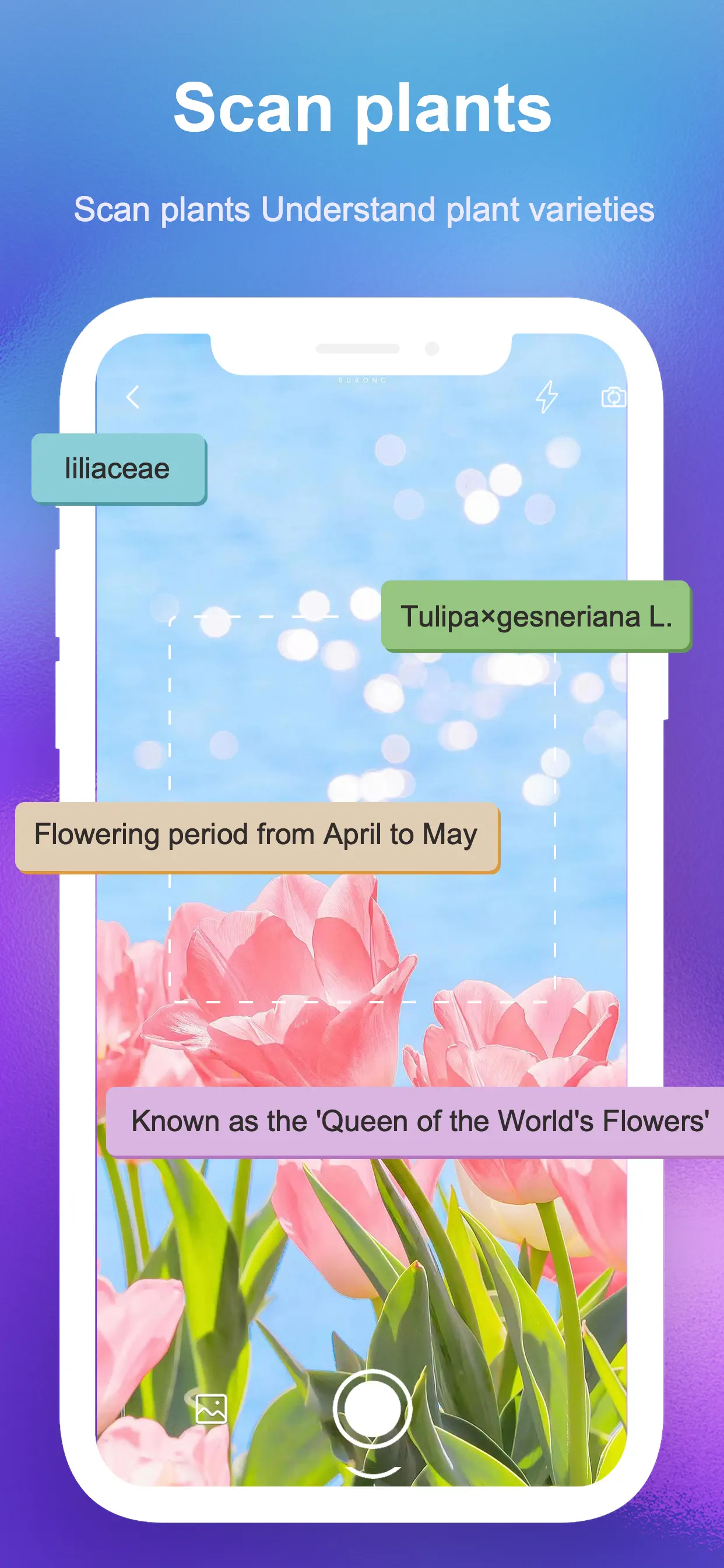 SnapAI: Scan Anything App Store screenshot 3