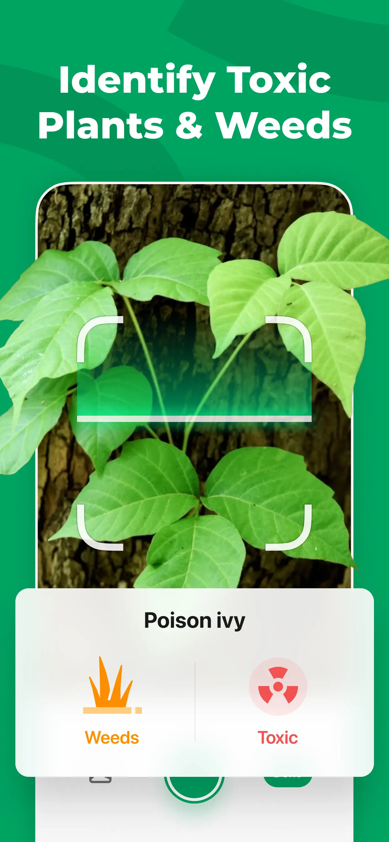 PictureThis - Plant Identifier App Store screenshot 1
