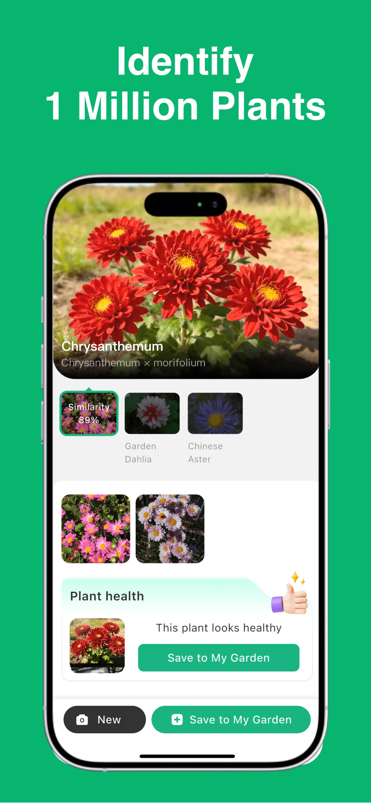 Plant Identifier: ChatPlant AI App Store screenshot 2