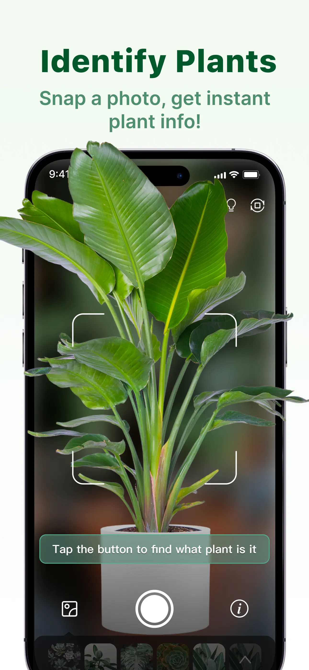 Verde Finder : identify plants App Store screenshot 3