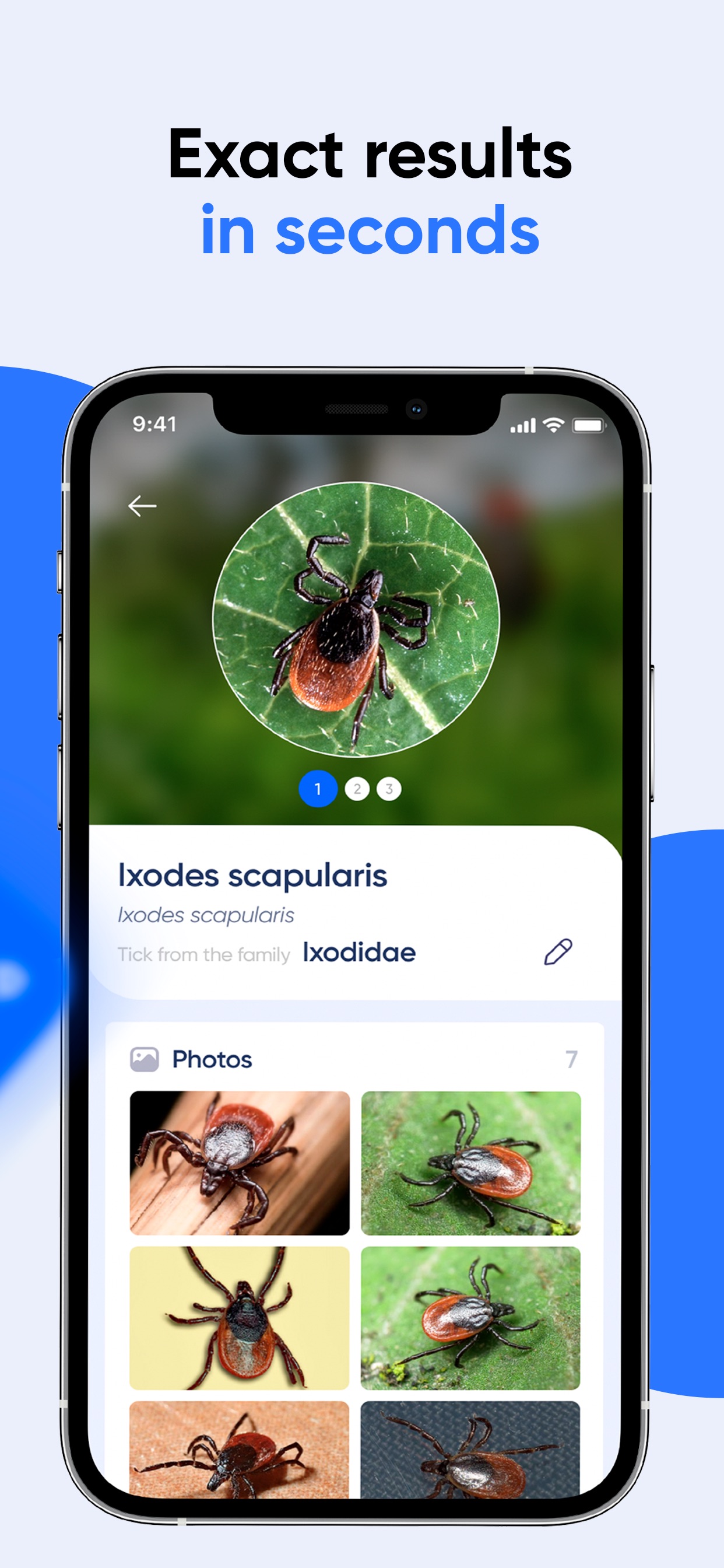 Bug Identifier: AI Insect id App Store screenshot 2