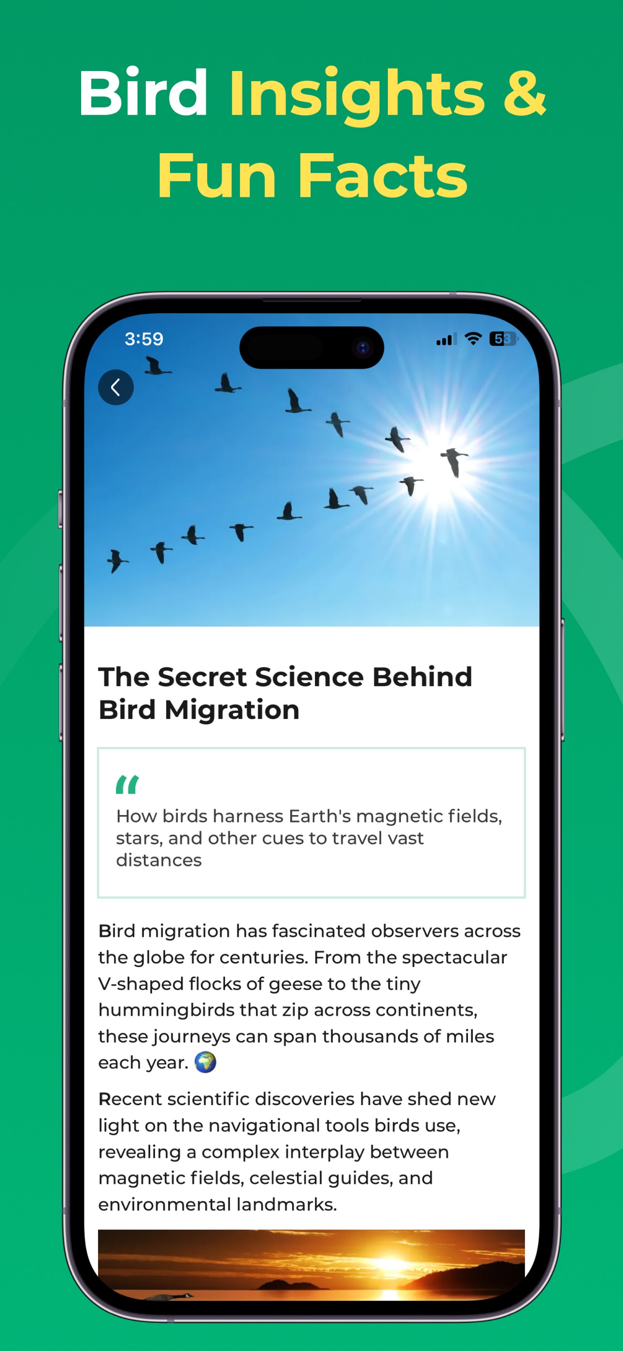 Bird Identifier: BirdScope App Store screenshot 1