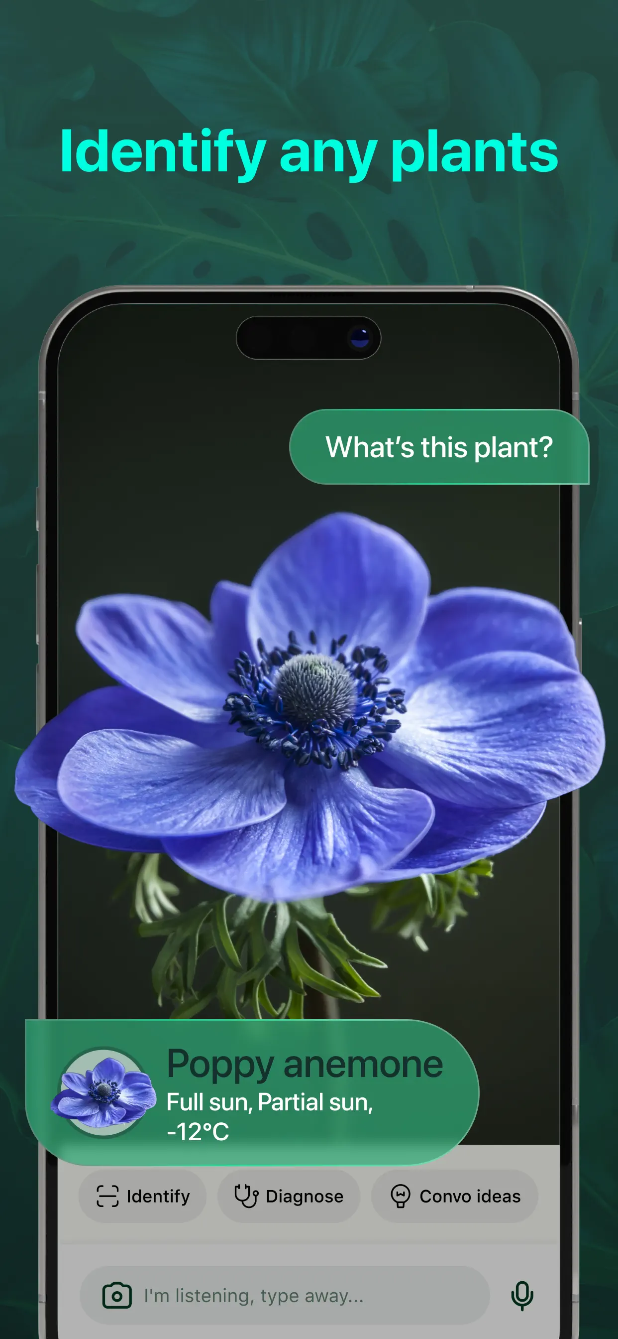 PlantAI: Identifier & Diagnose App Store screenshot 3