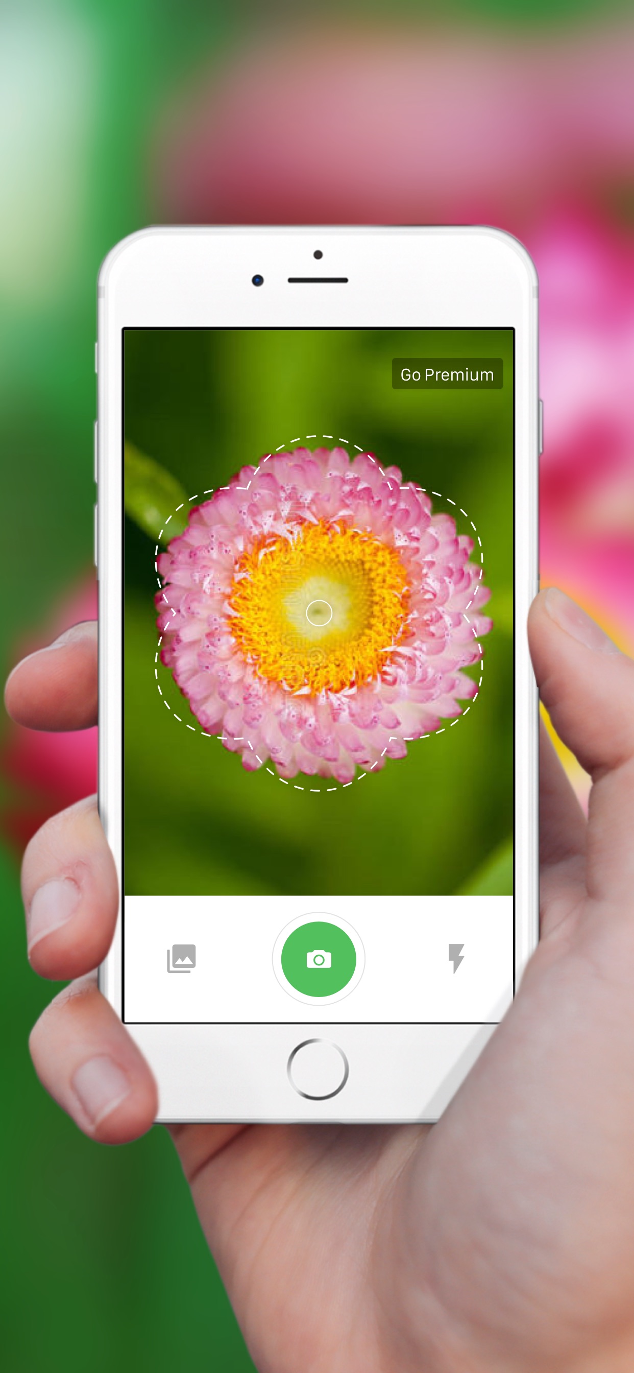 Plant Identification ++ App Store screenshot 2