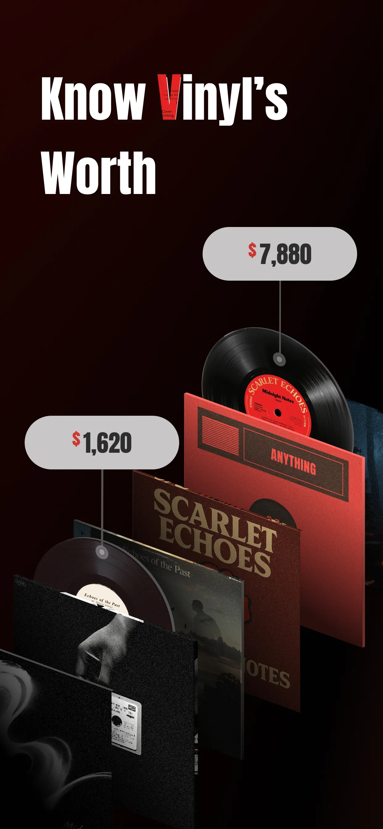 VinylSnap: Scan & Value Record App Store screenshot 1