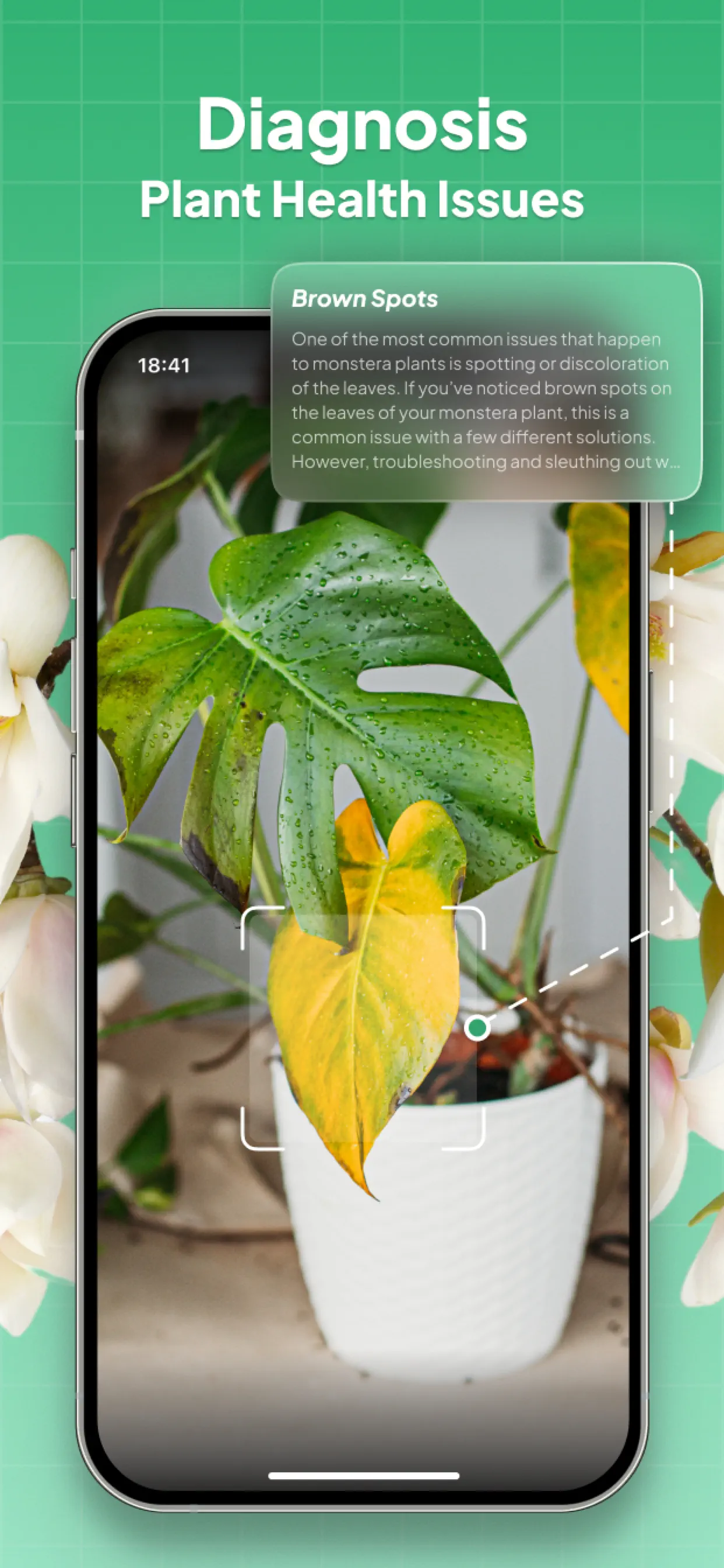 Plant Identifier: LeafSnap App Store screenshot 4