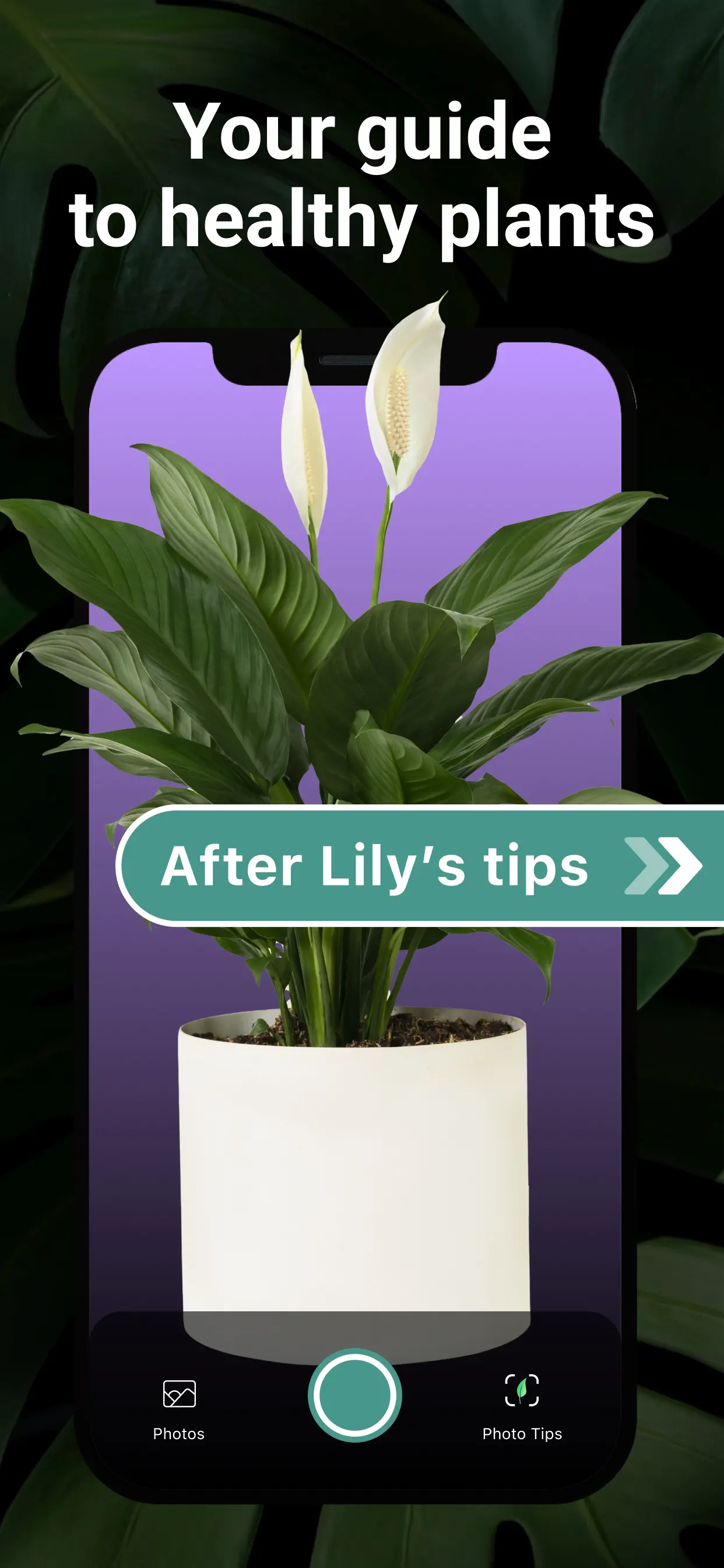 AI Plant Identifier・Care－Lily App Store screenshot 3