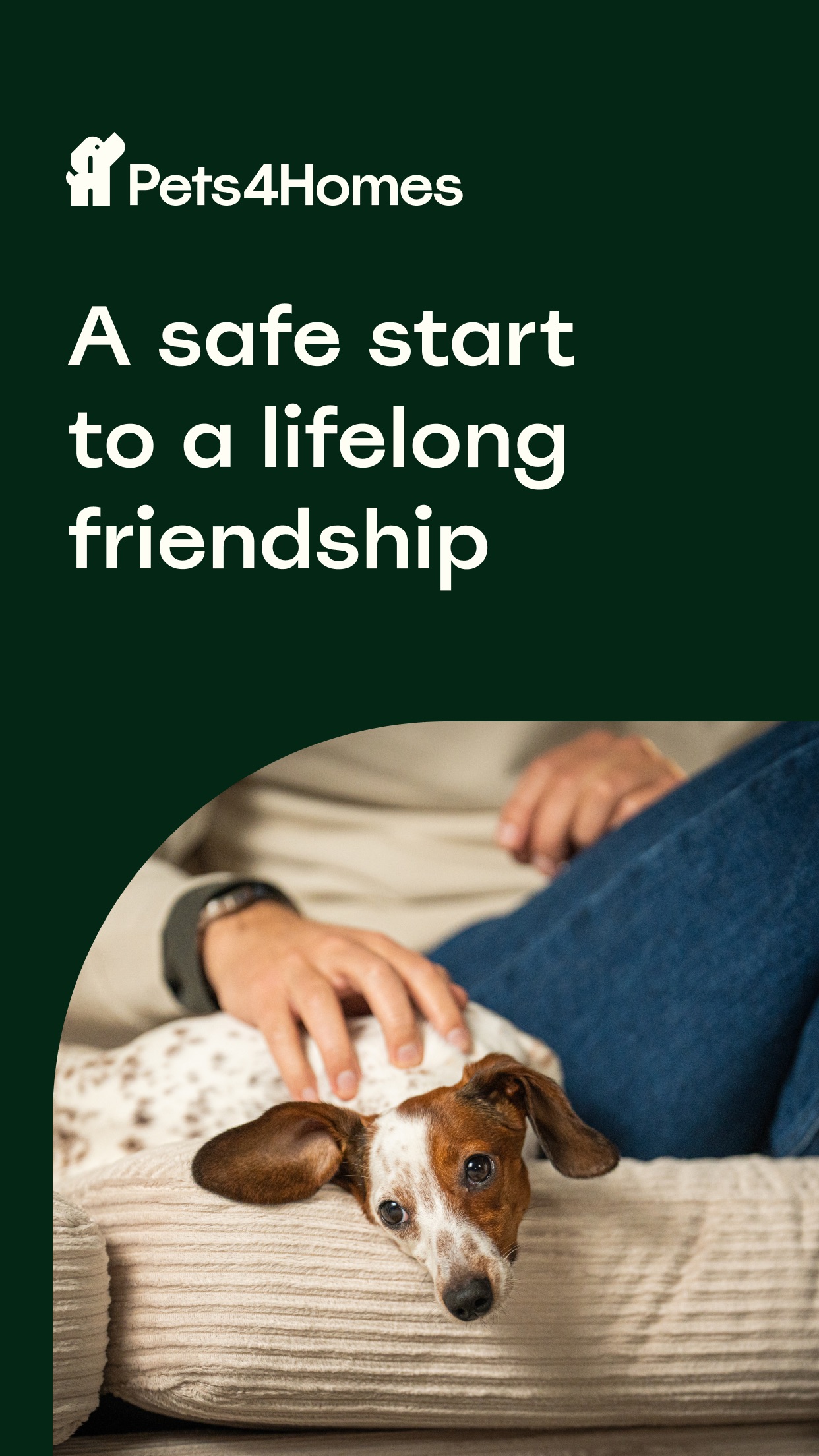 Pets4Homes: Dogs, Cats, Pets App Store screenshot 2