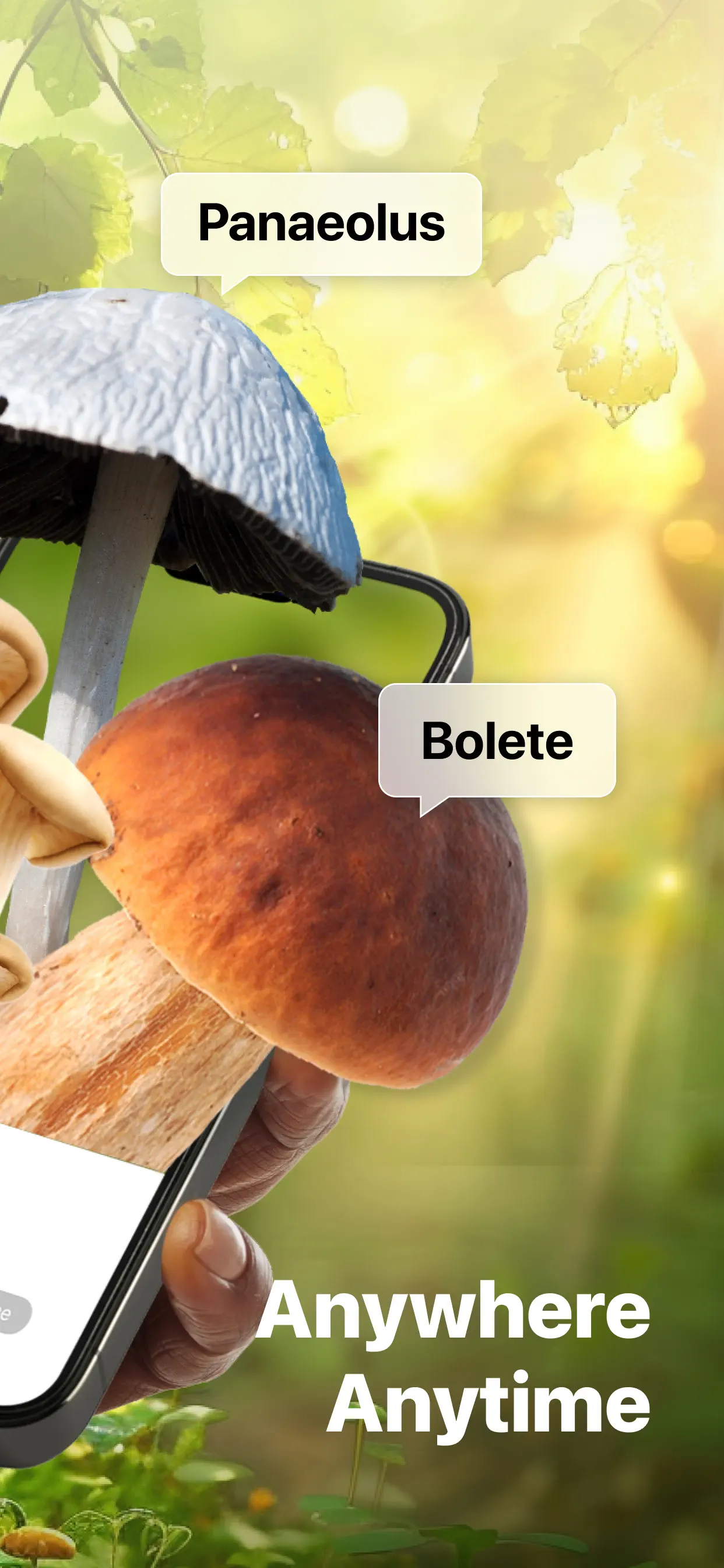 Picture Mushroom: Identifier App Store screenshot 3