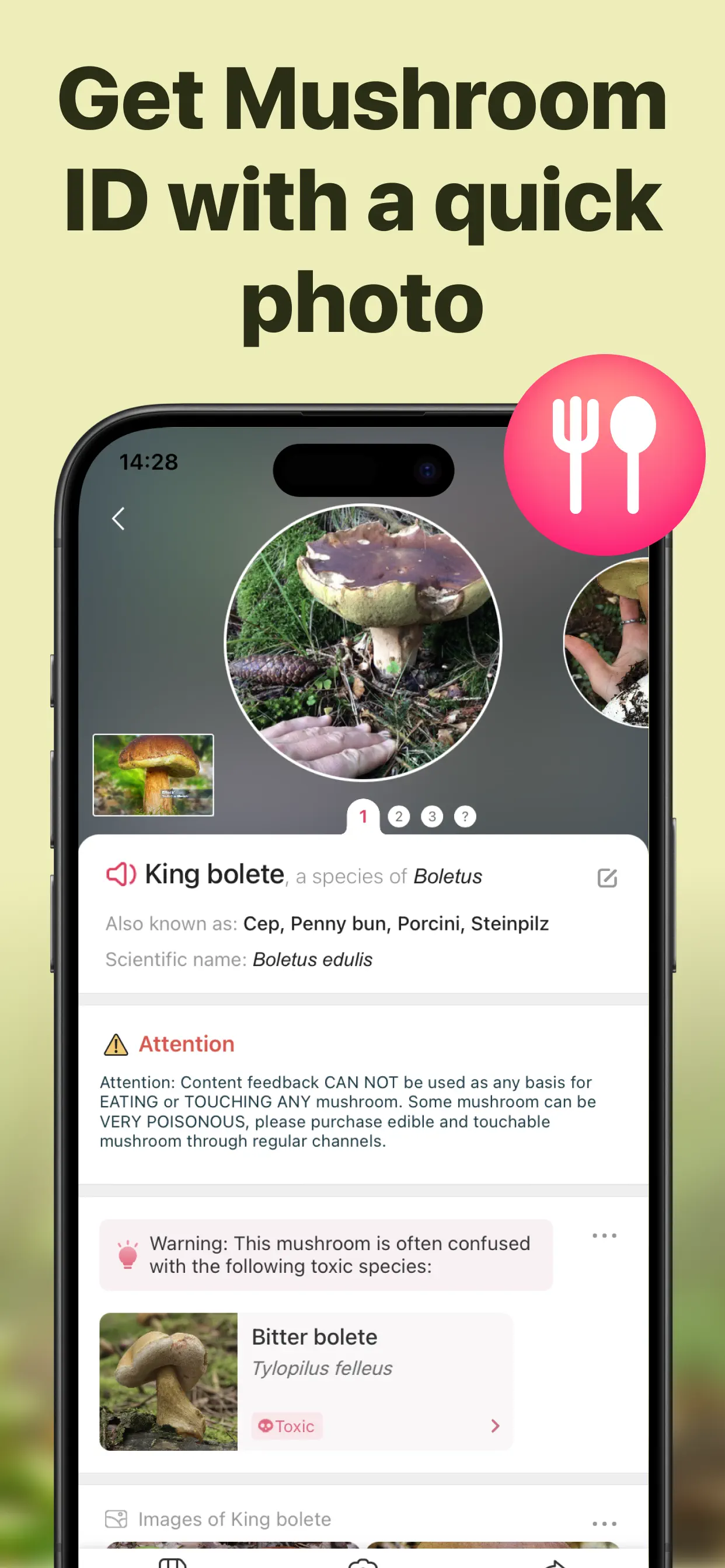 Picture Mushroom: Identifier App Store screenshot 2