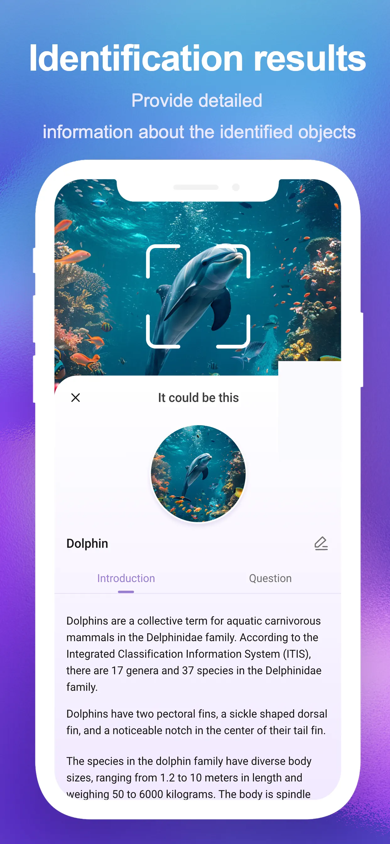 SnapAI: Scan Anything App Store screenshot 4
