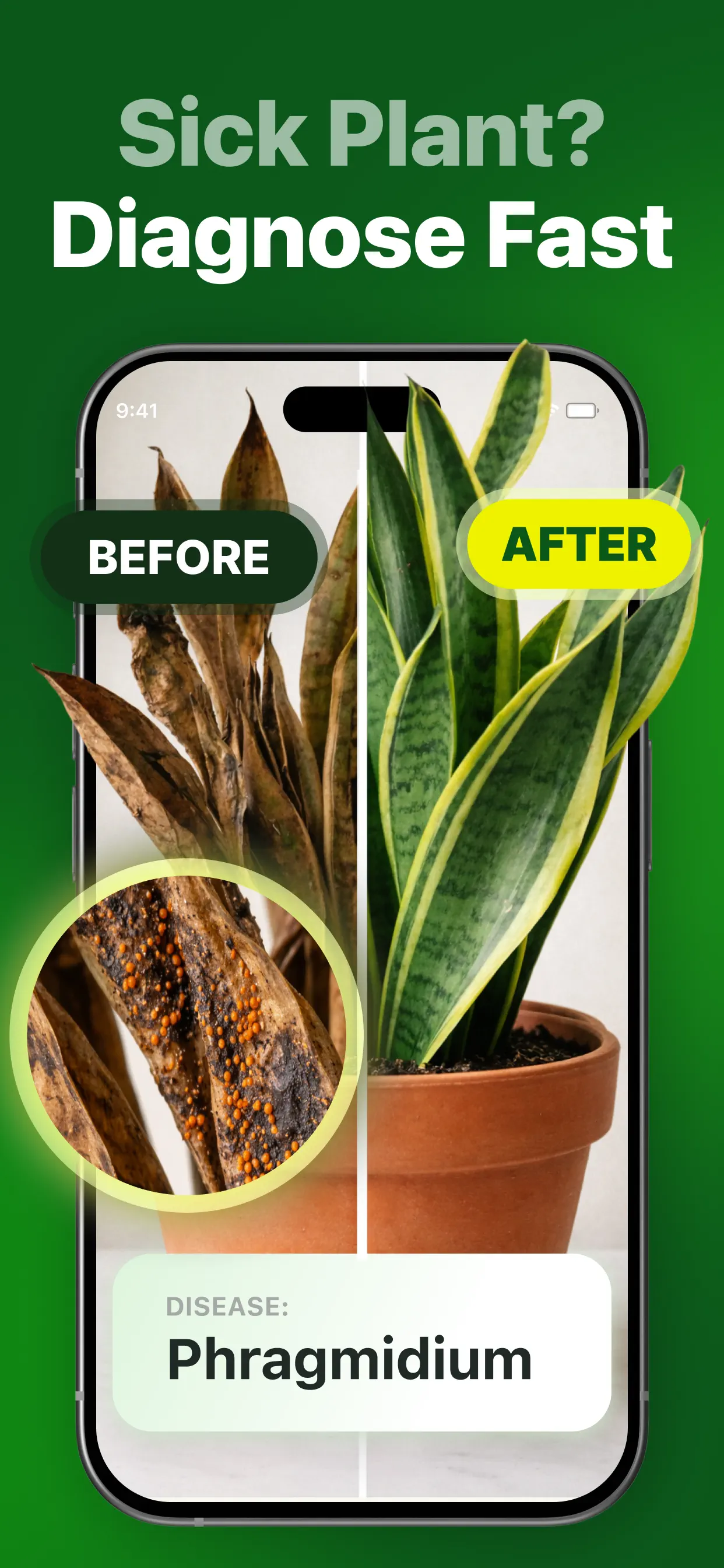Plant Identifier & Care App App Store screenshot 2