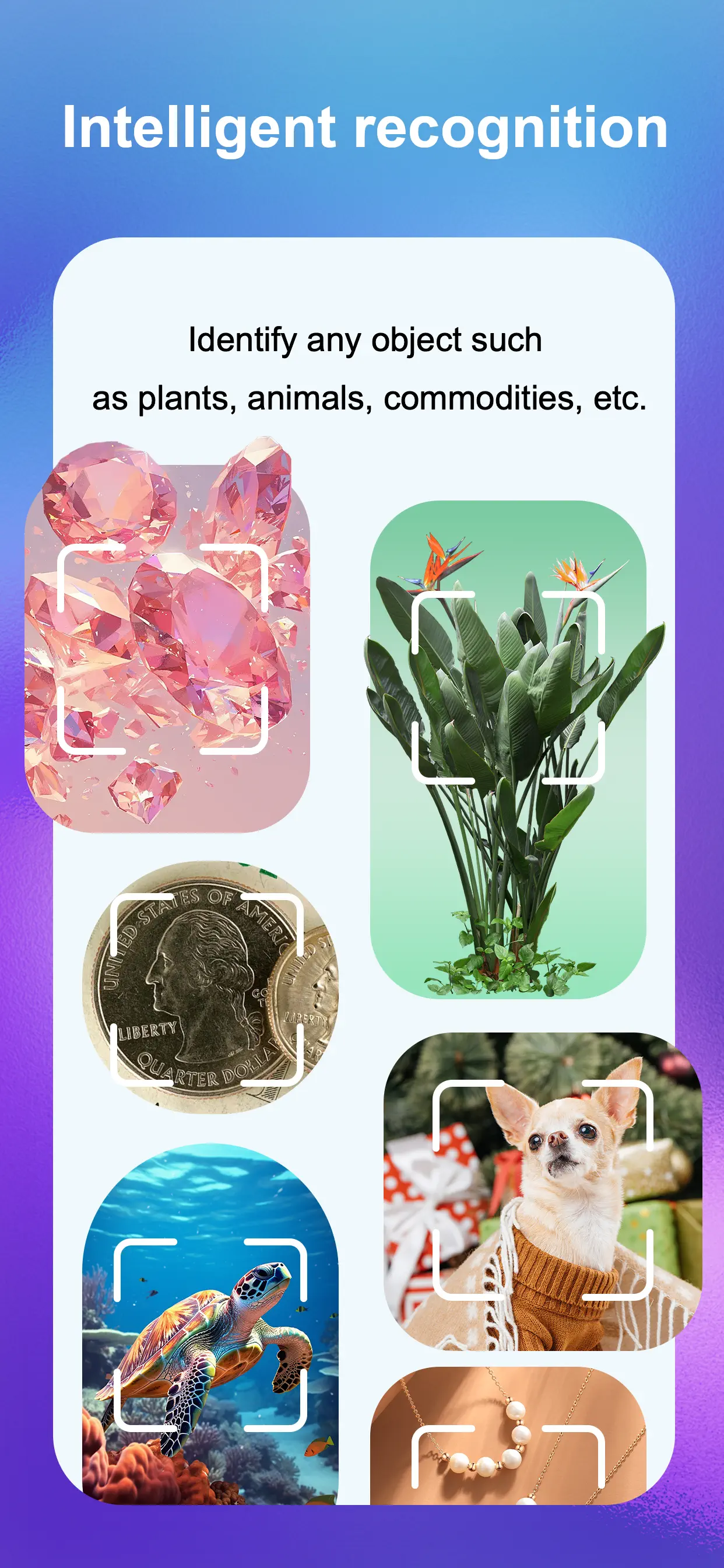 SnapAI: Scan Anything App Store screenshot 1