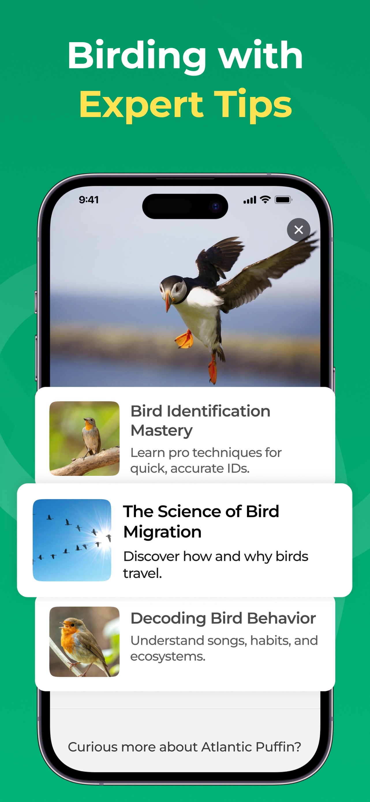Bird Identifier: BirdScope App Store screenshot 3
