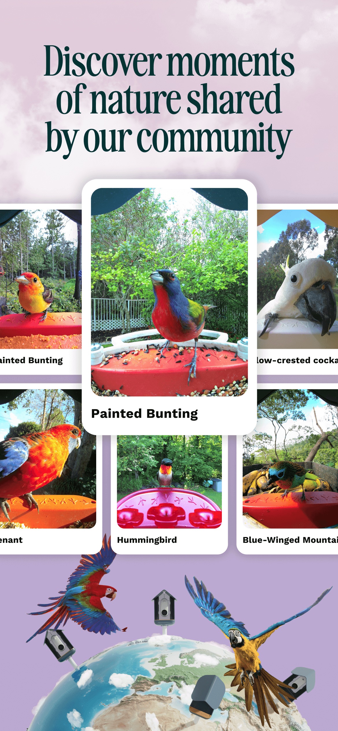 Birdbuddy: ID & Collect Birds App Store screenshot 2