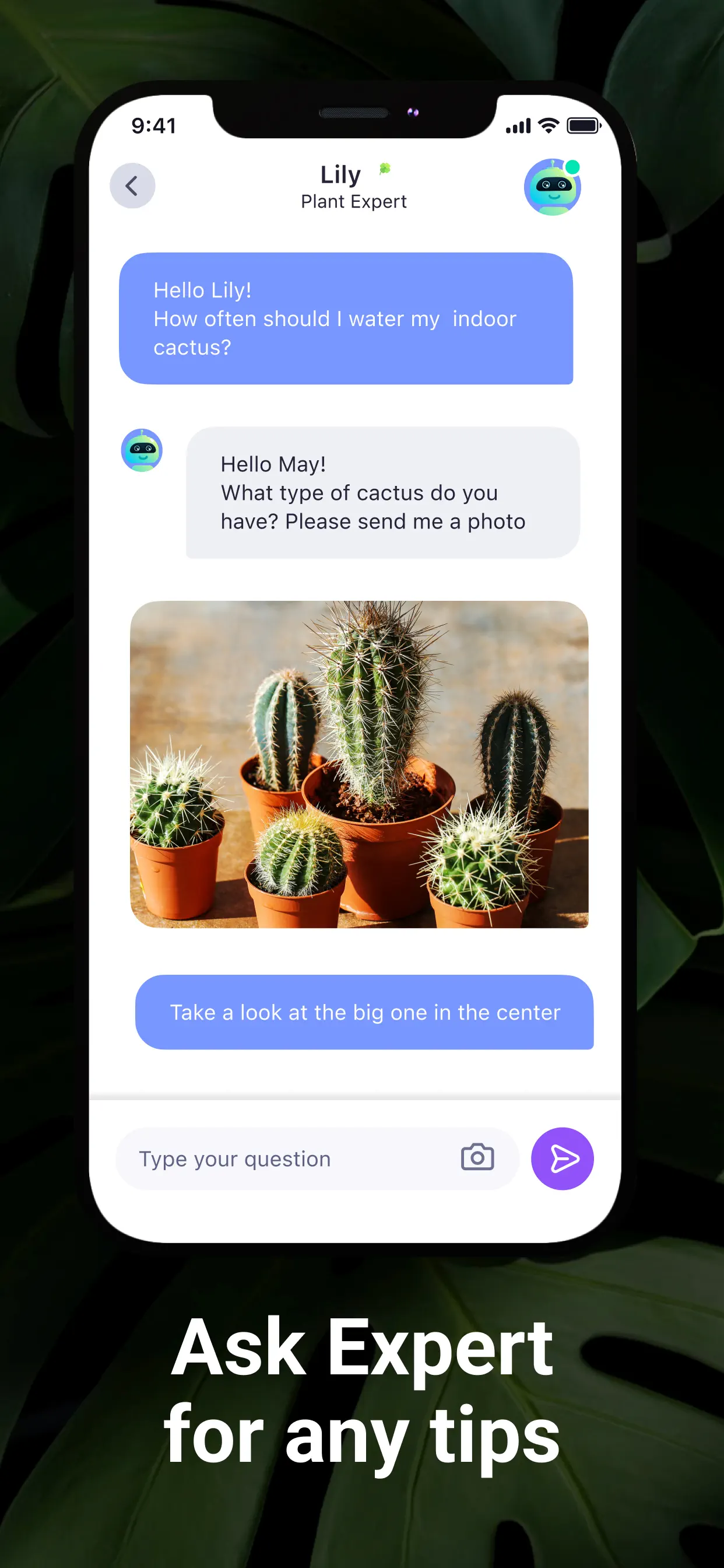 AI Plant Identifier・Care－Lily App Store screenshot 4