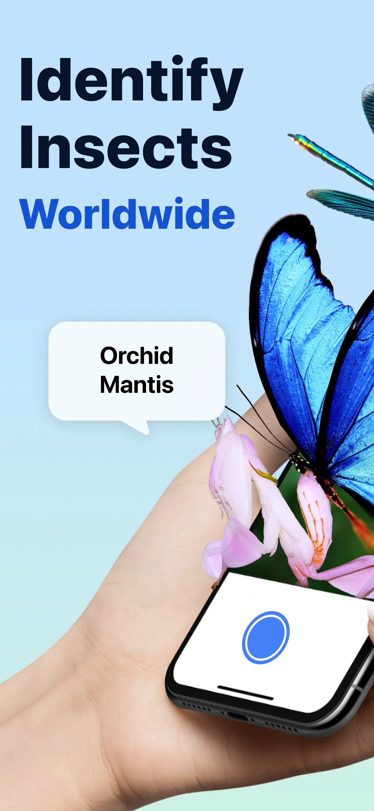 Picture Insect: Bug Identifier App Store screenshot 1