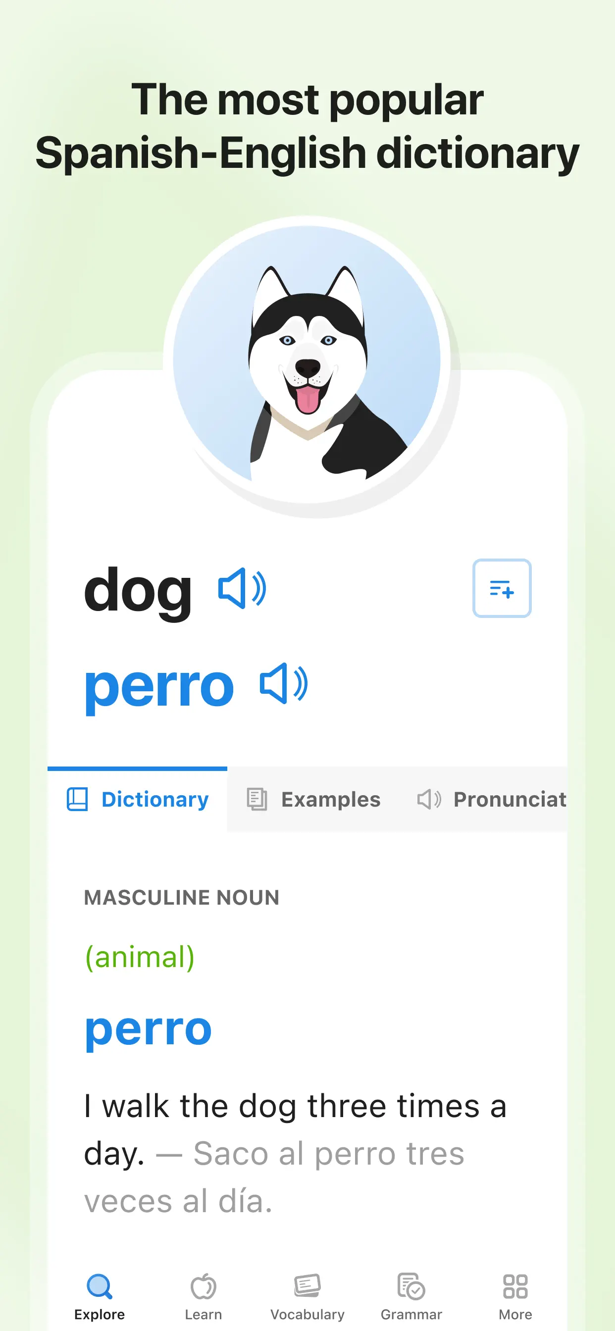 SpanishDictionary.com Learning App Store screenshot 4