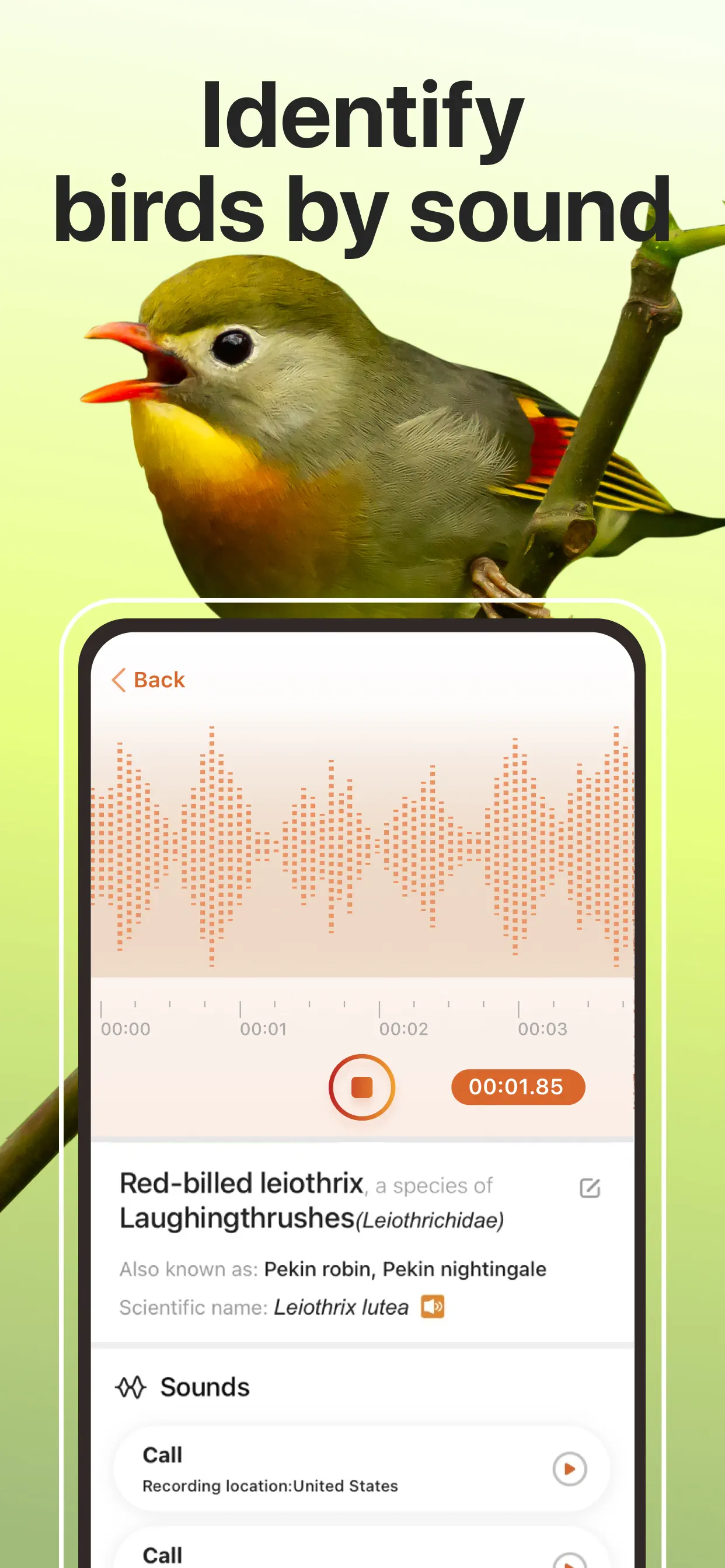 Picture Bird: Bird identifier App Store screenshot 4