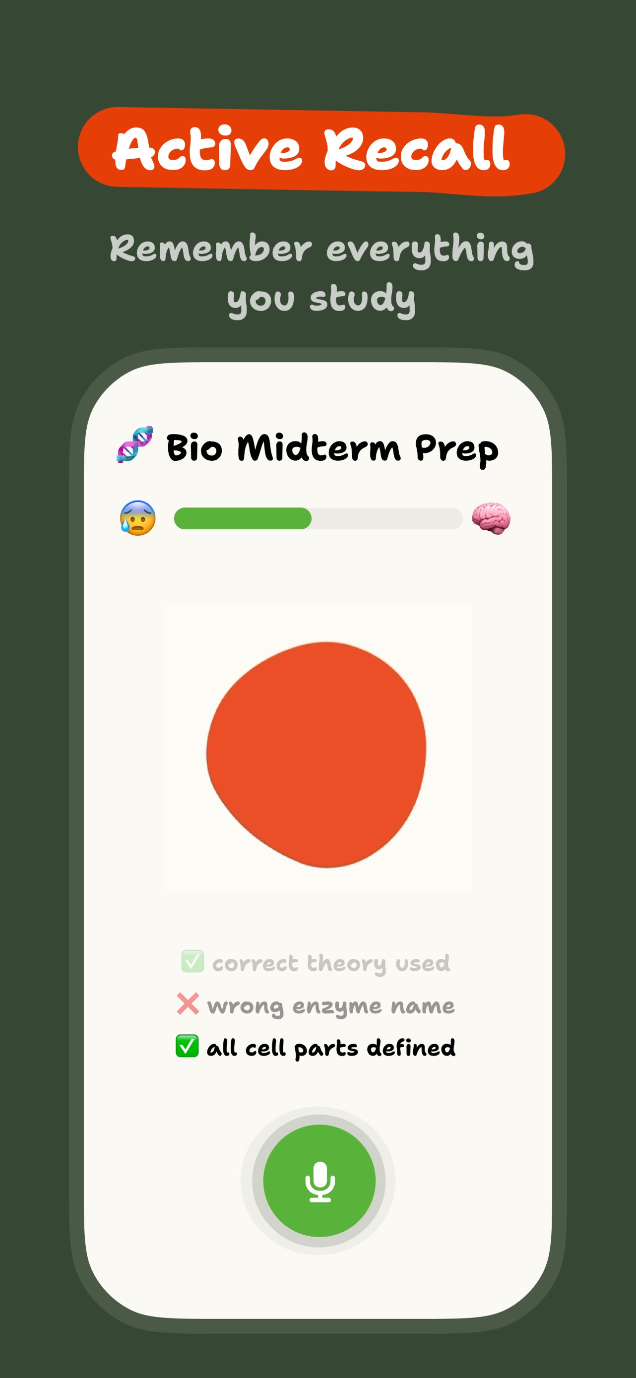 Einstein AI: Homework Helper App Store screenshot 1