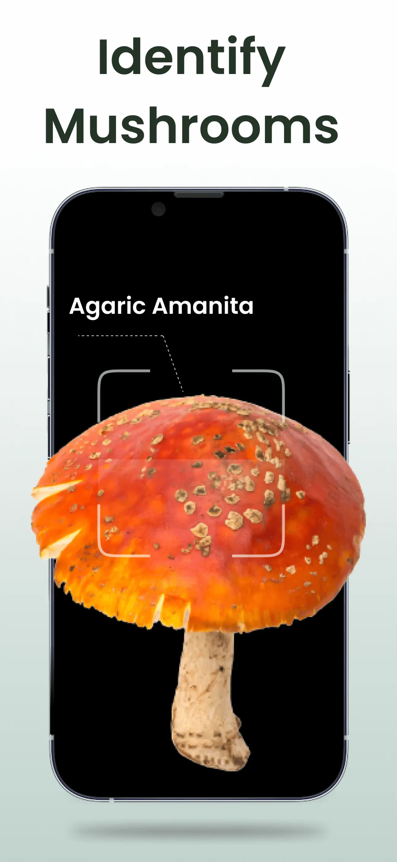 Plant Identifier: Plantiary App Store screenshot 2