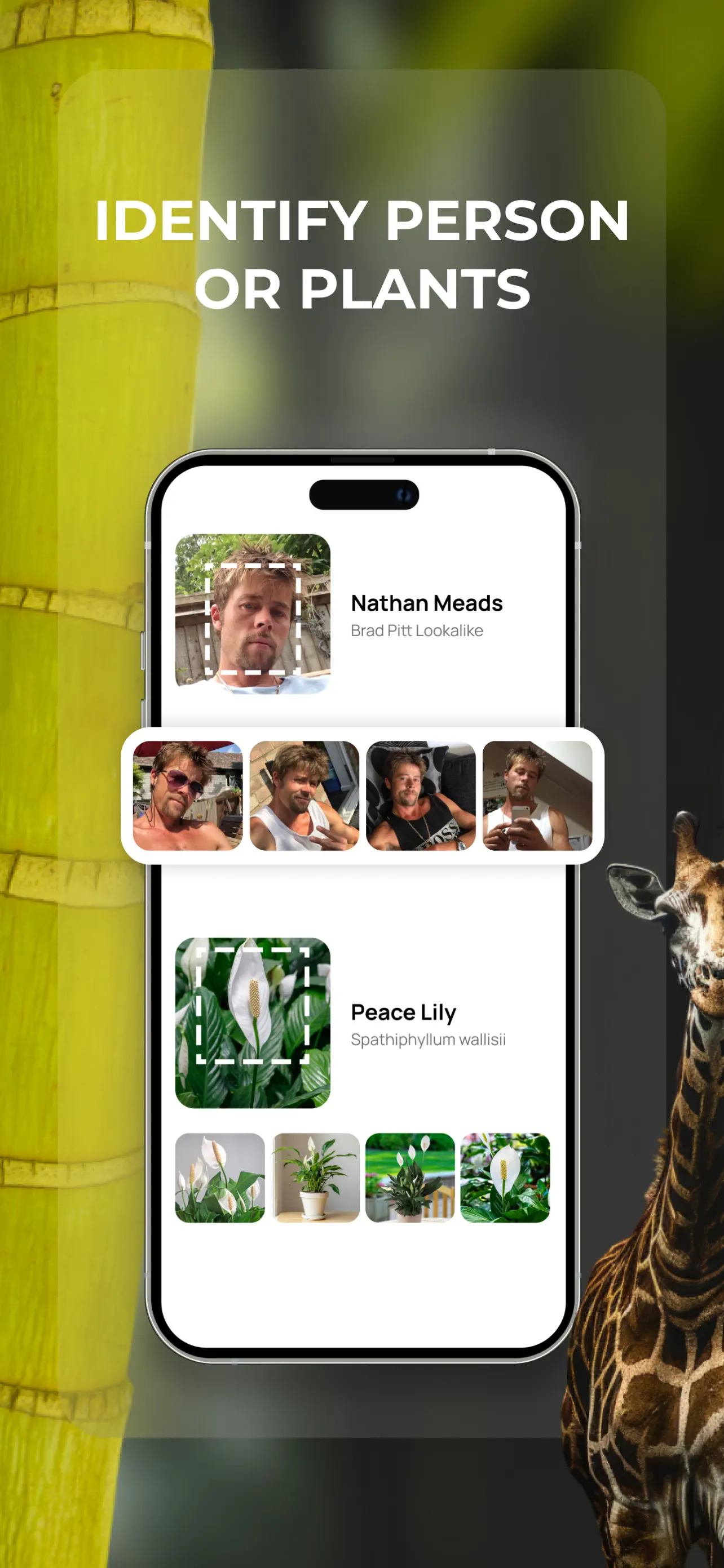 Lens: Translate & Image Search App Store screenshot 4
