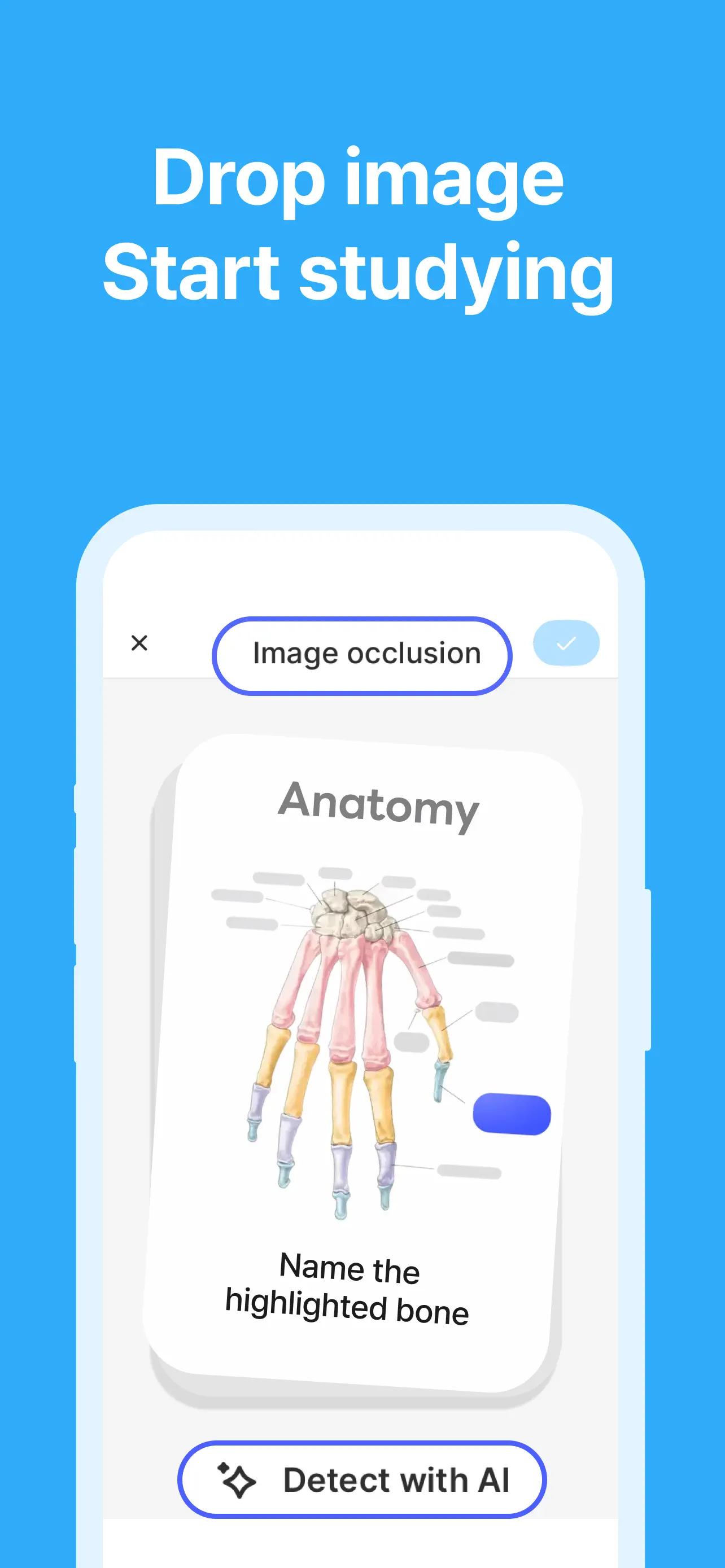 Noji - Flashcards study app App Store screenshot 2