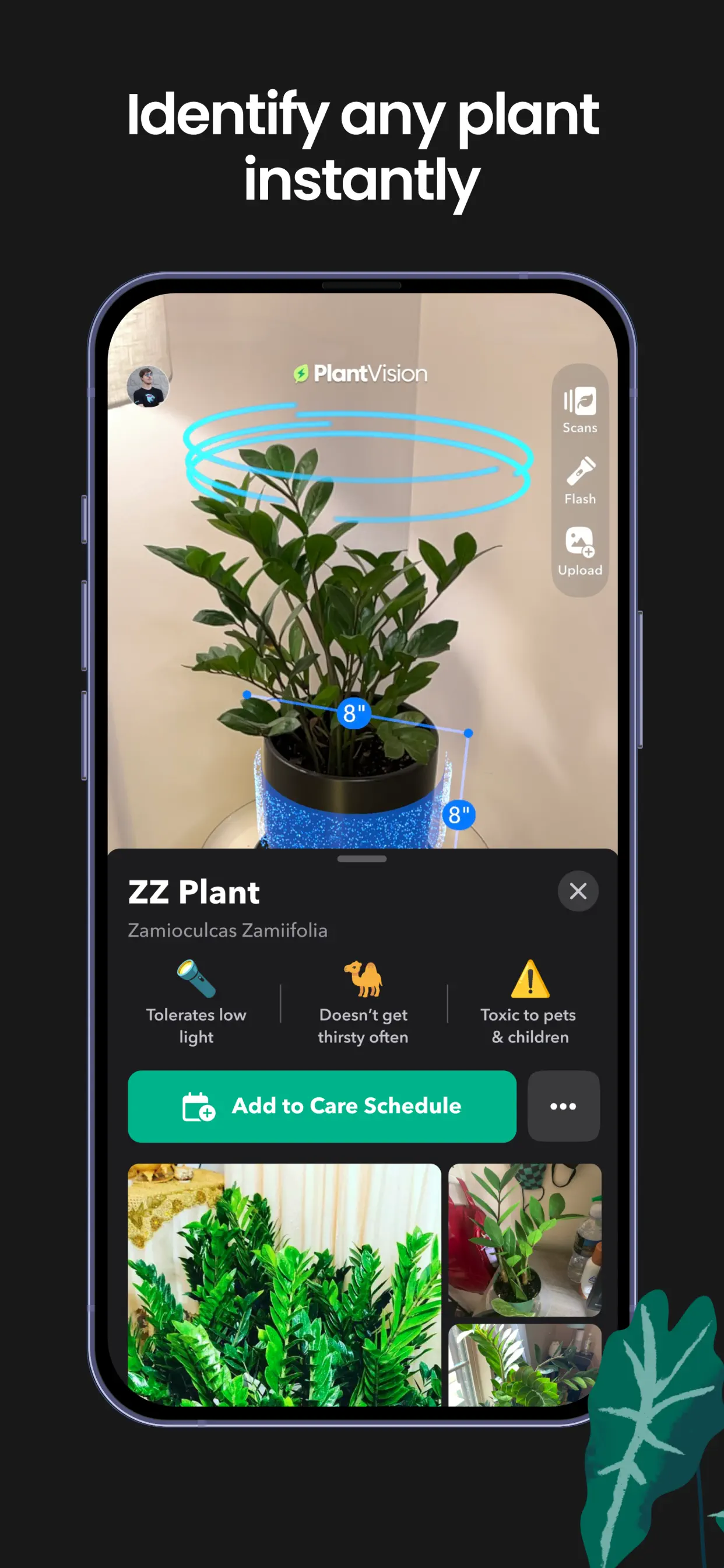 Greg: Plant Identifier & Care App Store screenshot 2
