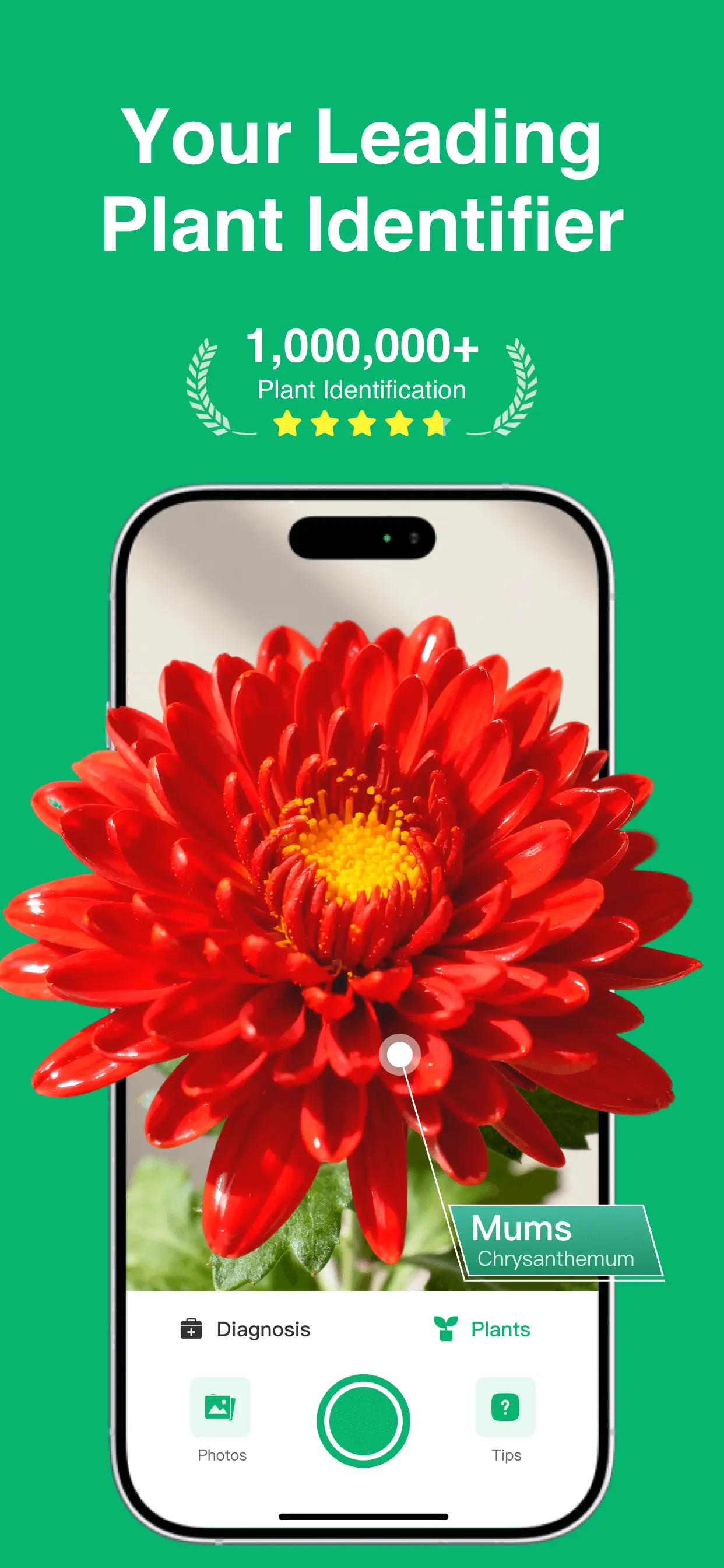 Plant Identifier: ChatPlant AI App Store screenshot 1