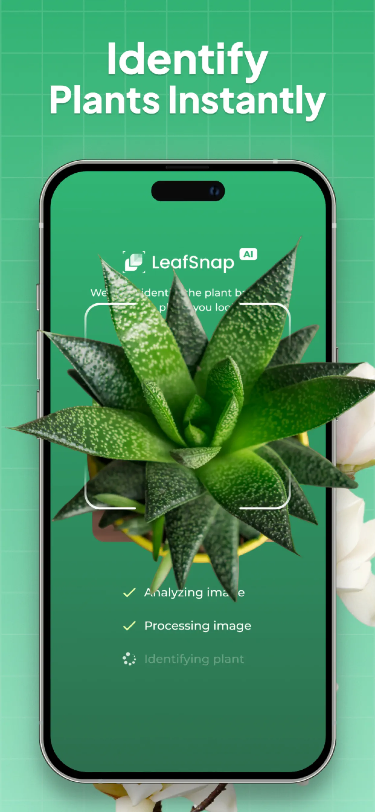 Plant Identifier: LeafSnap App Store screenshot 3