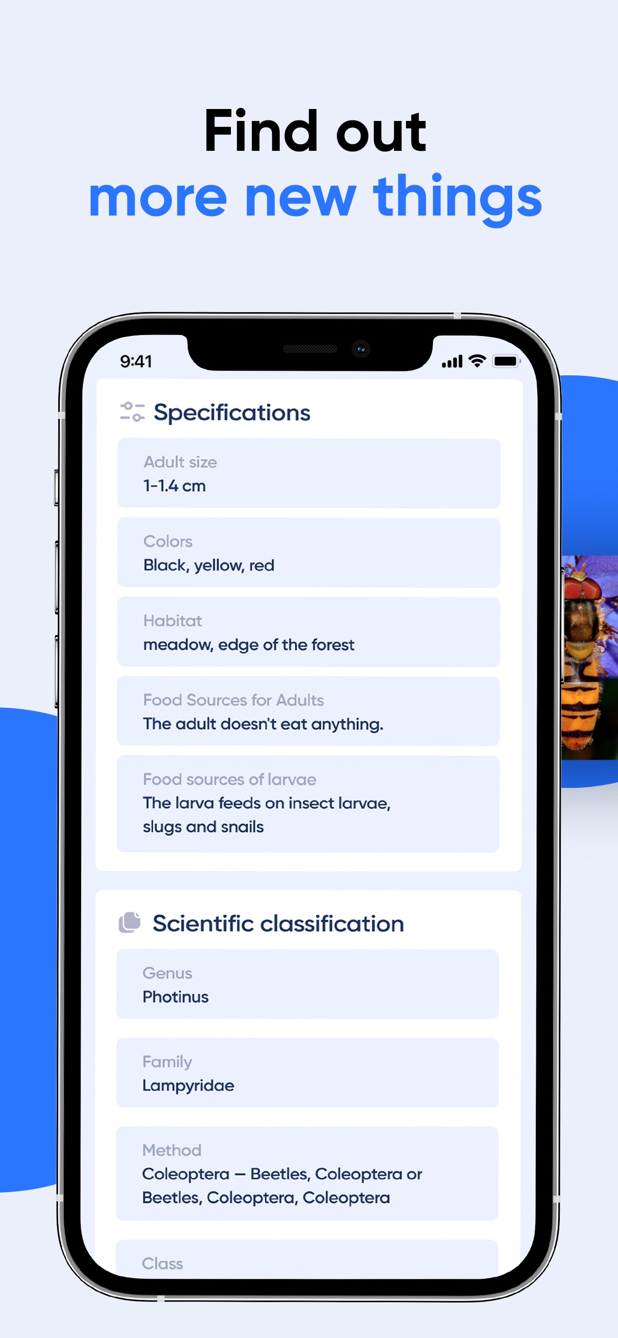 Bug Identifier: AI Insect id App Store screenshot 3
