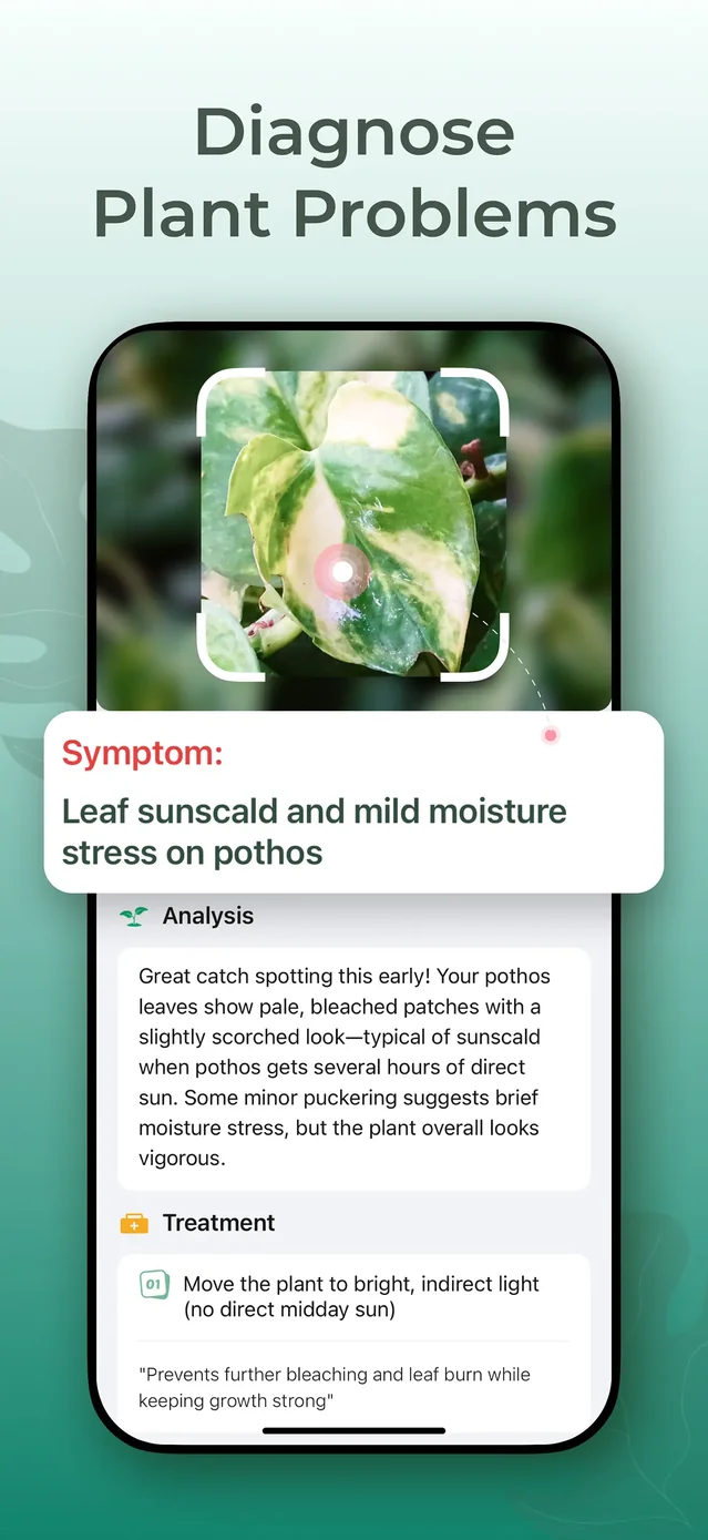 Plant Identifier & Plant Care. App Store screenshot 3