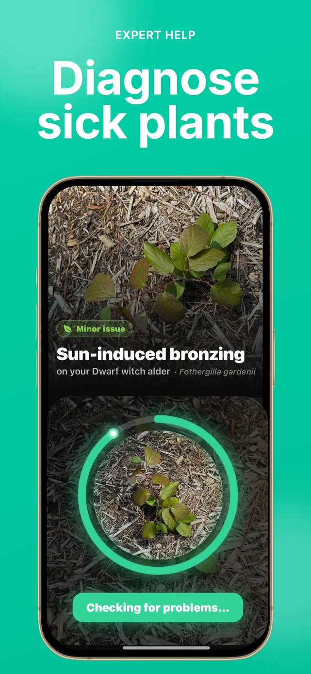 Sow: Garden & Landscape Design App Store screenshot 3