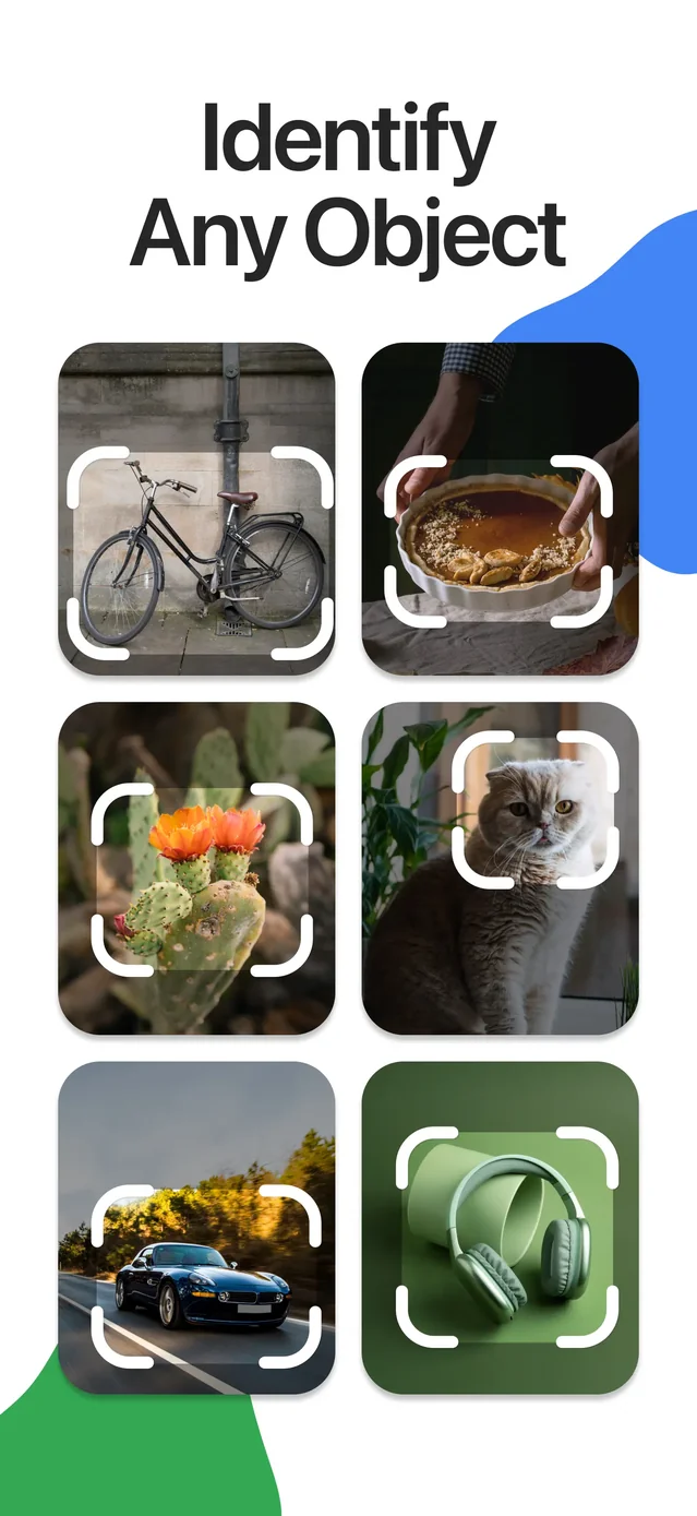 Lens Scan: Identify Anything App Store screenshot 1