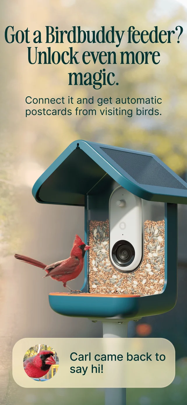 Birdbuddy: ID & Collect Birds App Store screenshot 2