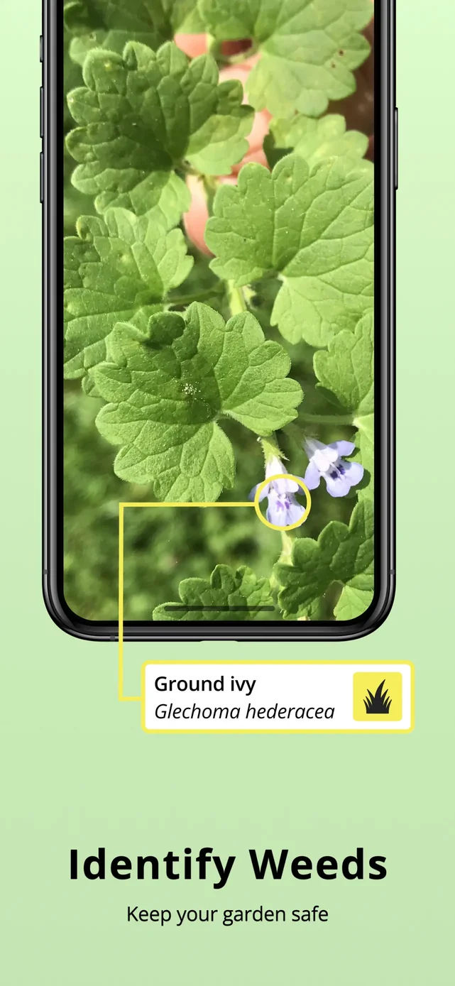Plantion - Plant Identifier App Store screenshot 4
