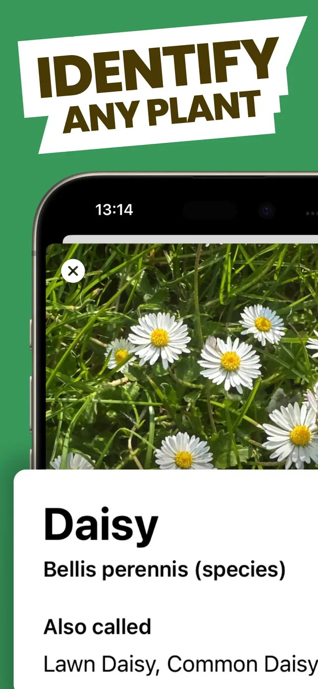 Free Plant Identifier App Store screenshot 1